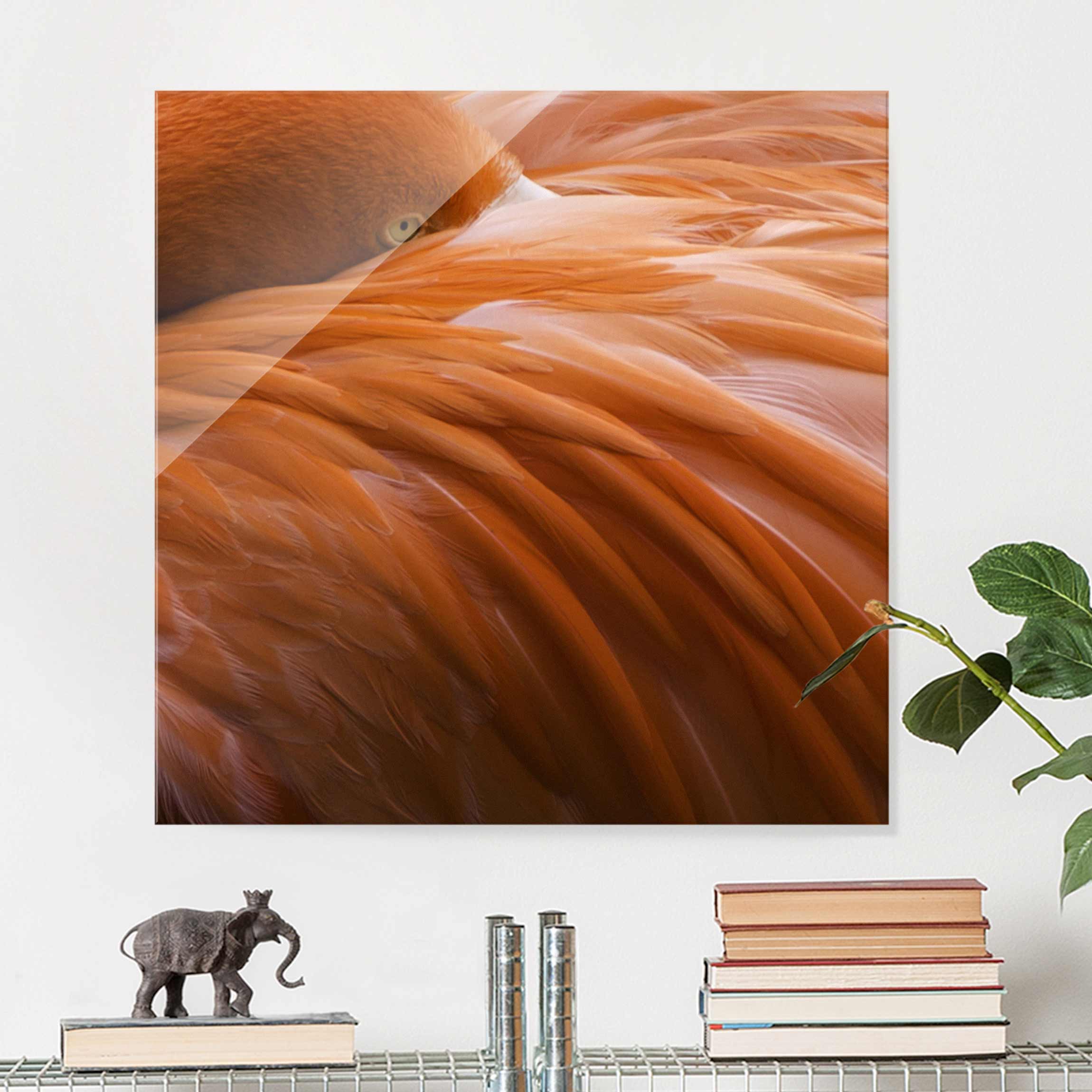 Glasbild Tiere Flamingofedern