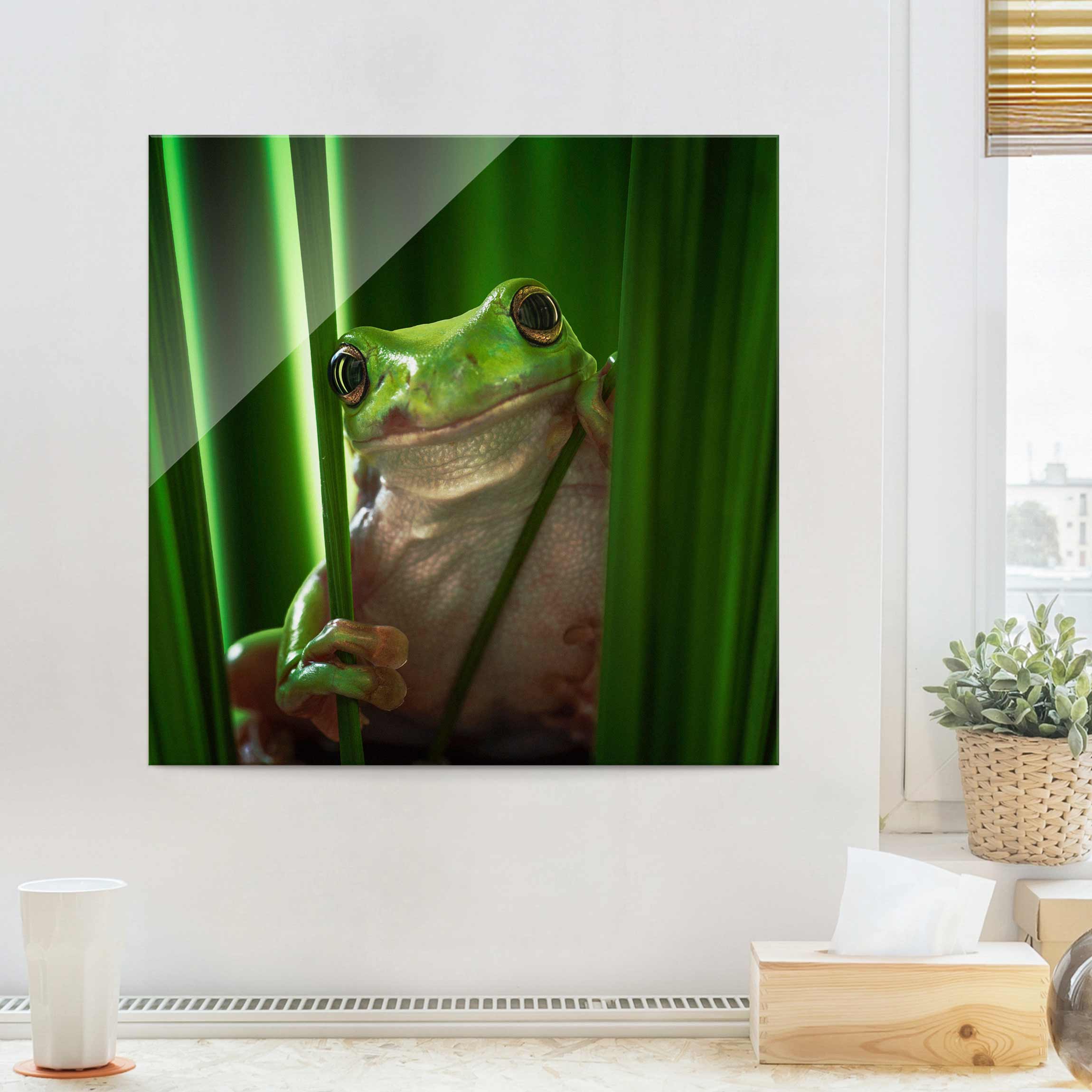 Glasbild Tiere Fröhlicher Frosch