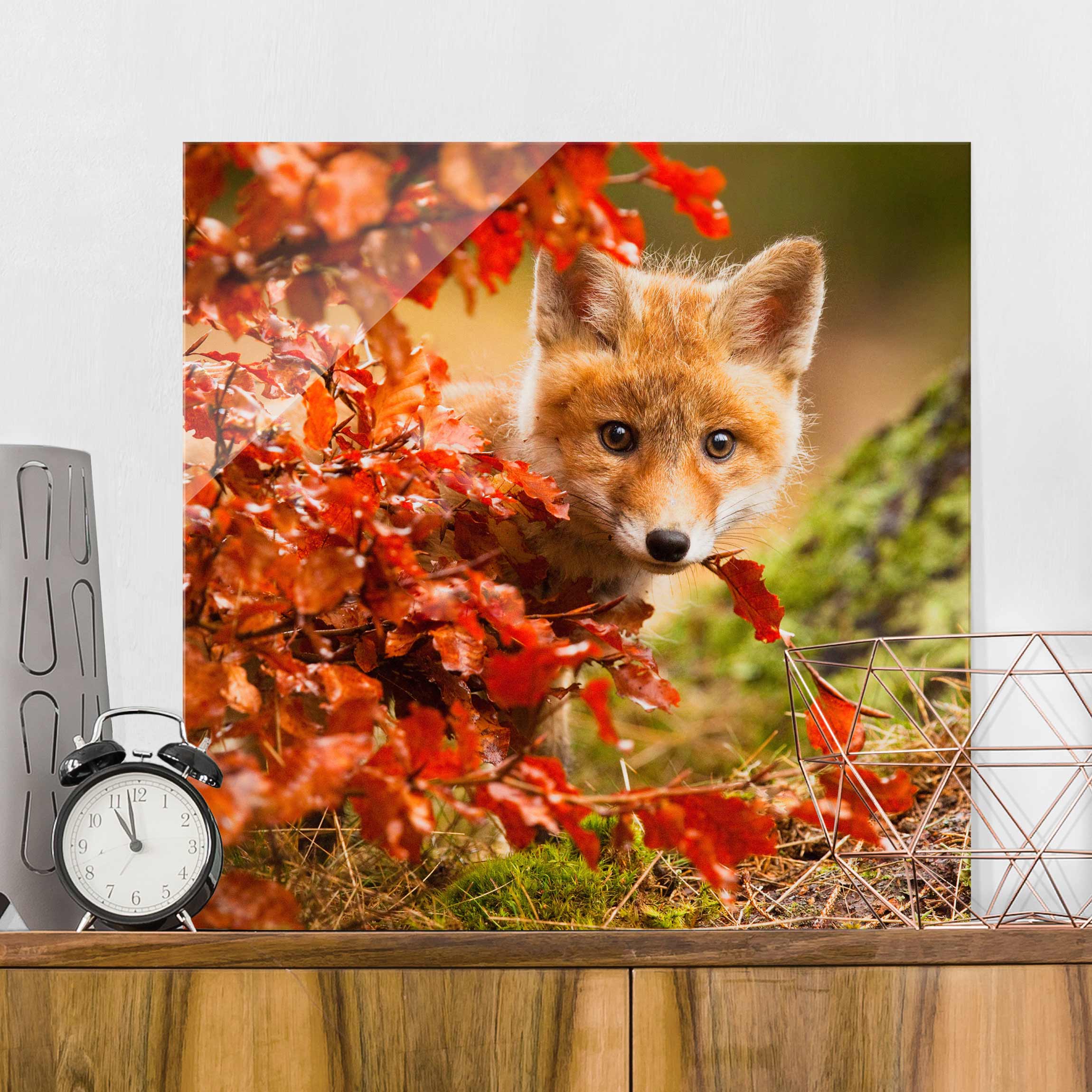 Glasbild Tiere Fuchs im Herbst