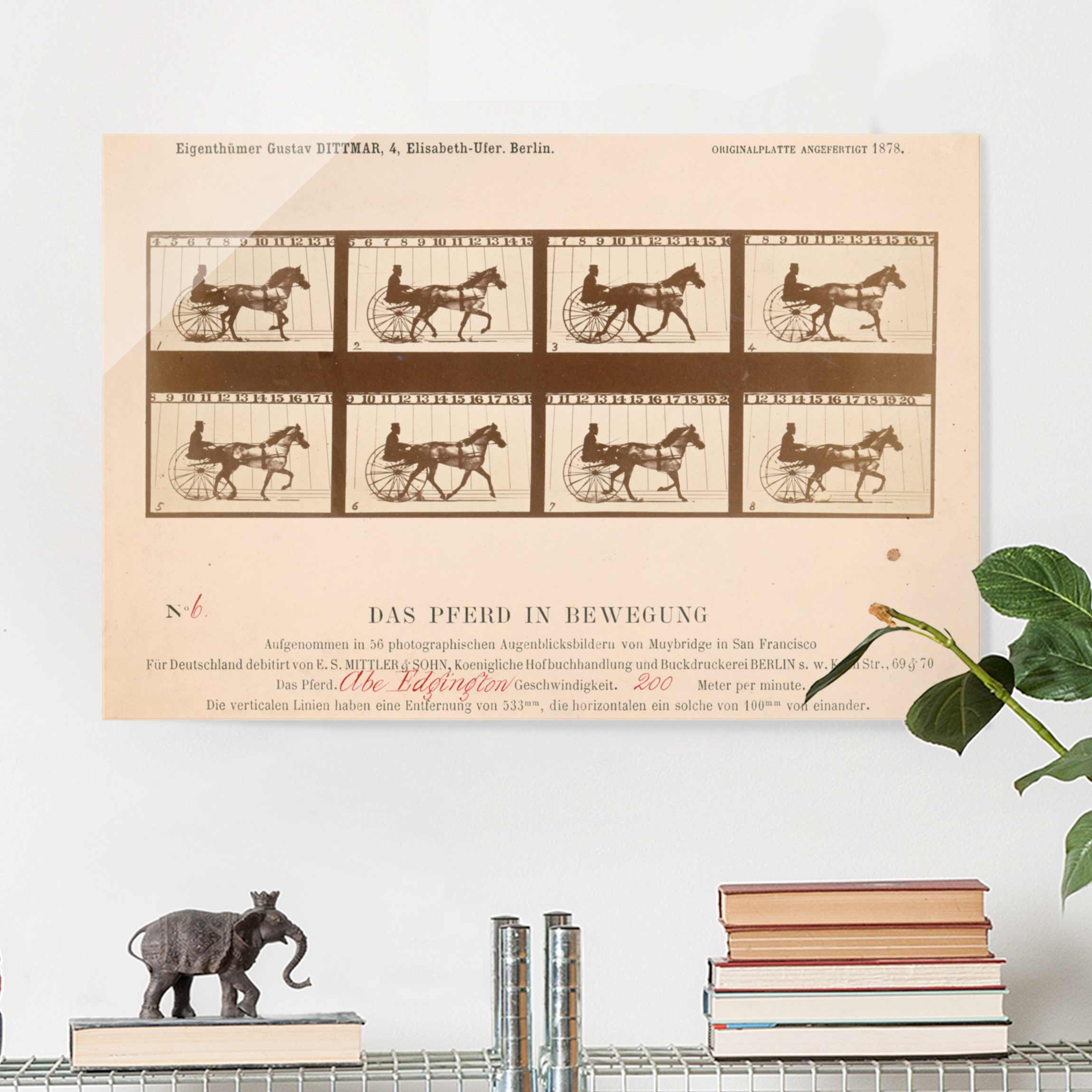 Glasbild Kunstdruck Eadweard Muybridge - Das Pferd in Bewegung