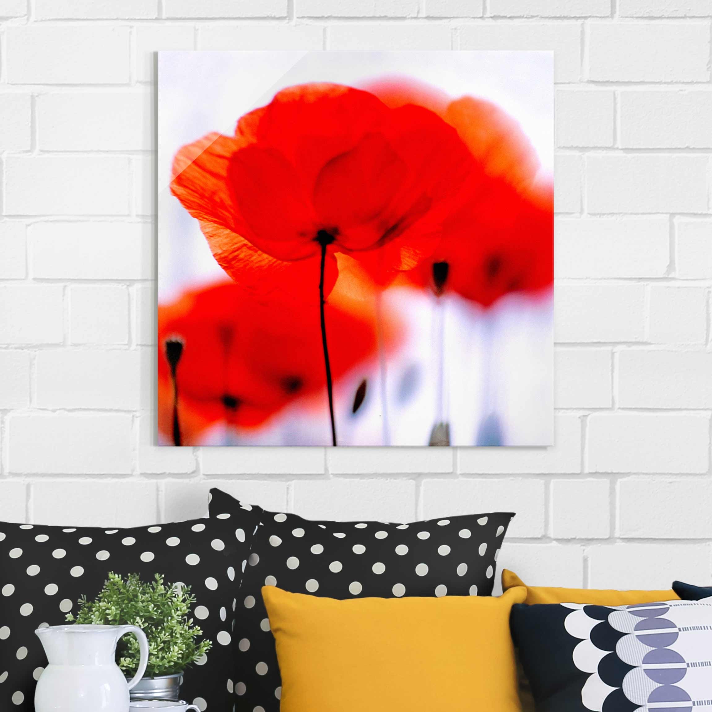 Glasbild Blumen Magic Poppies