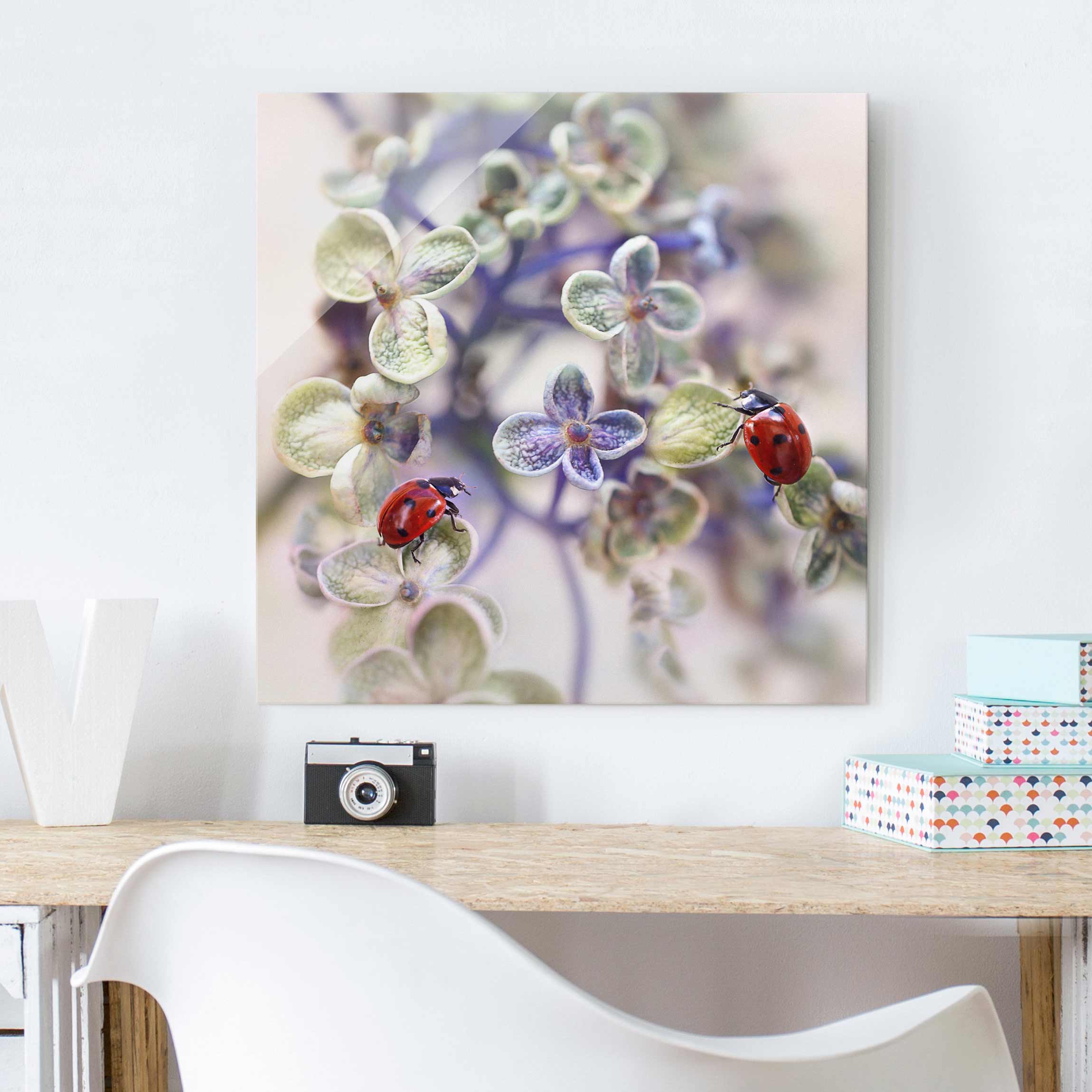 Glasbild - Quadrat Marienkäfer im Garten