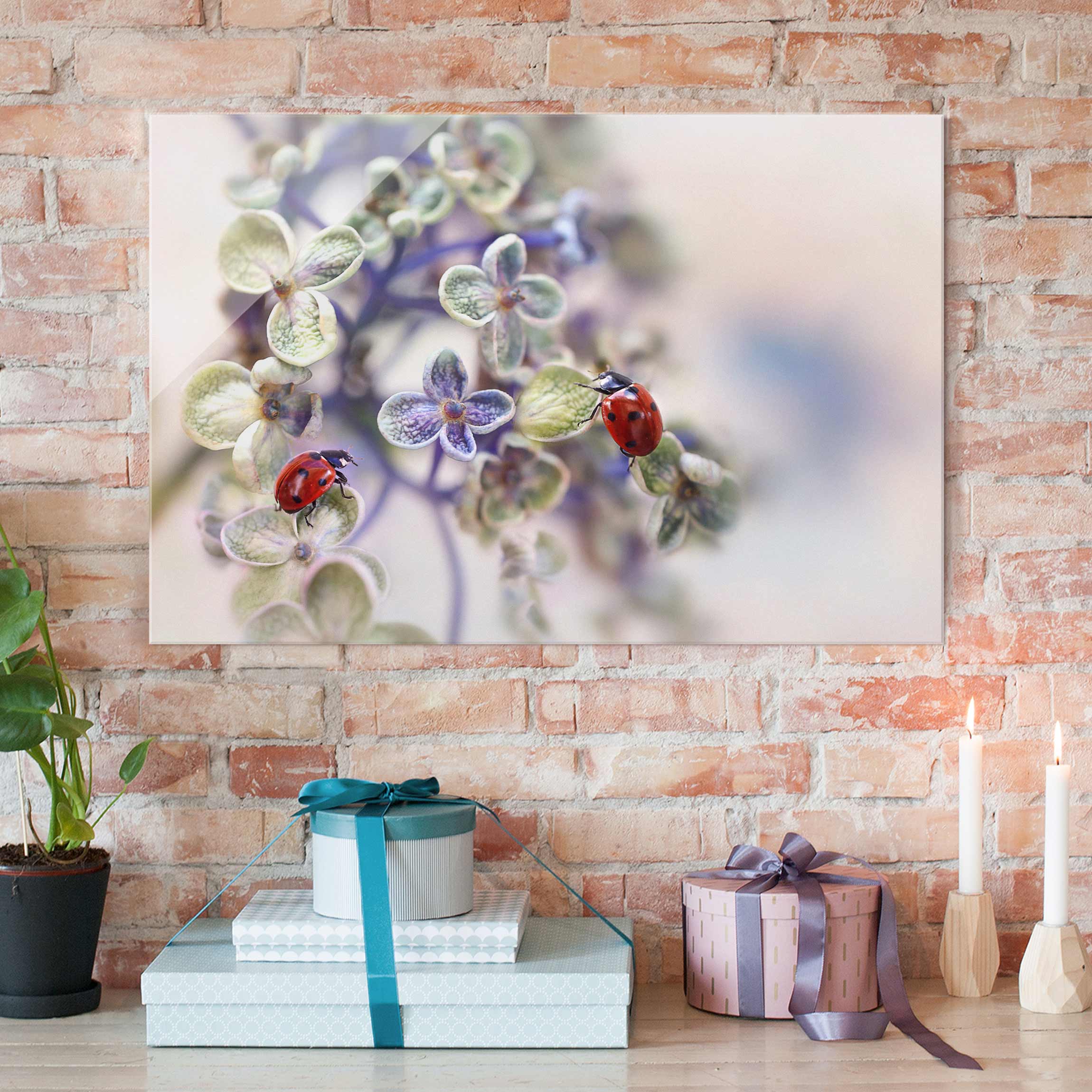 Glasbild - Querformat Marienkäfer im Garten