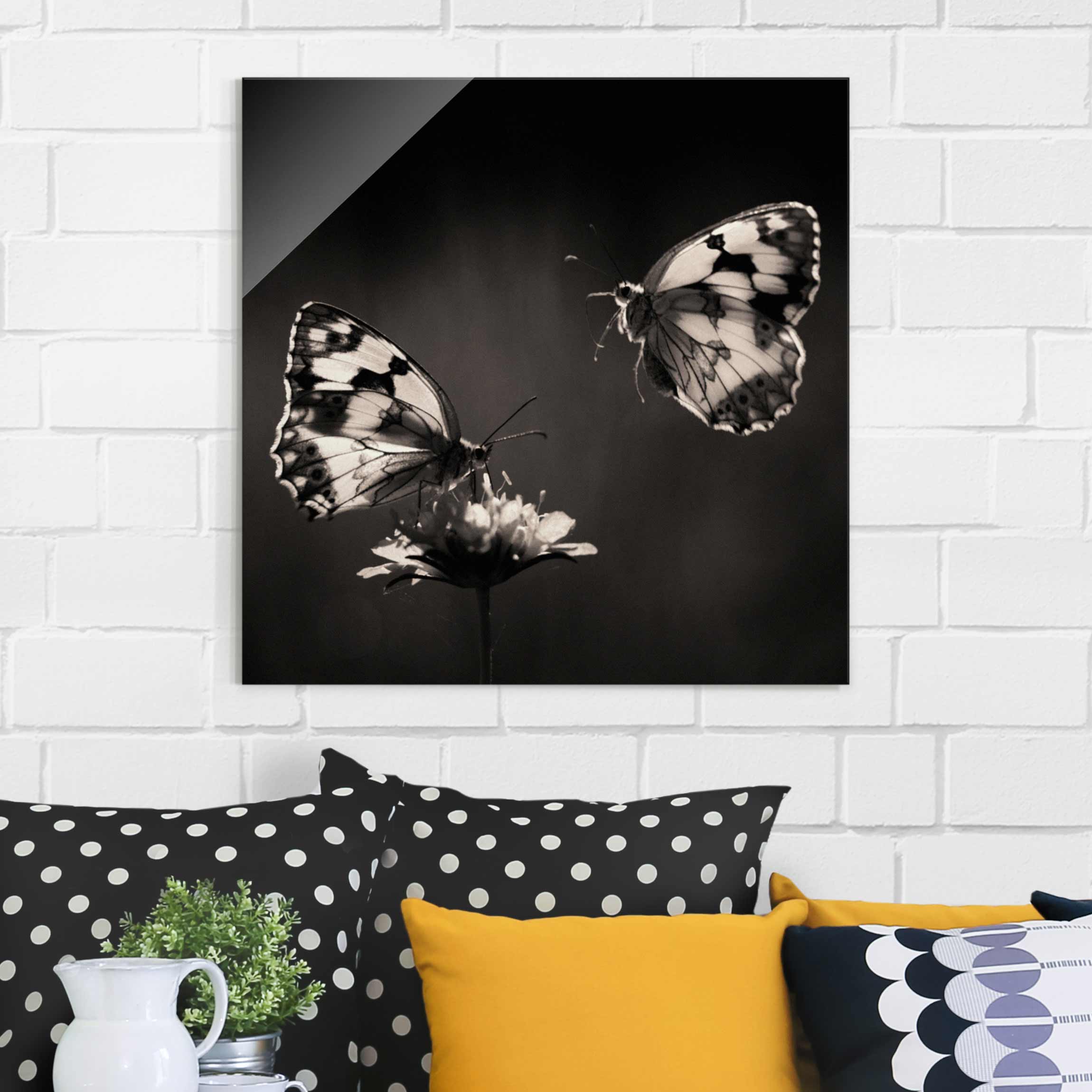 Glasbild Tiere Medioluto Norte