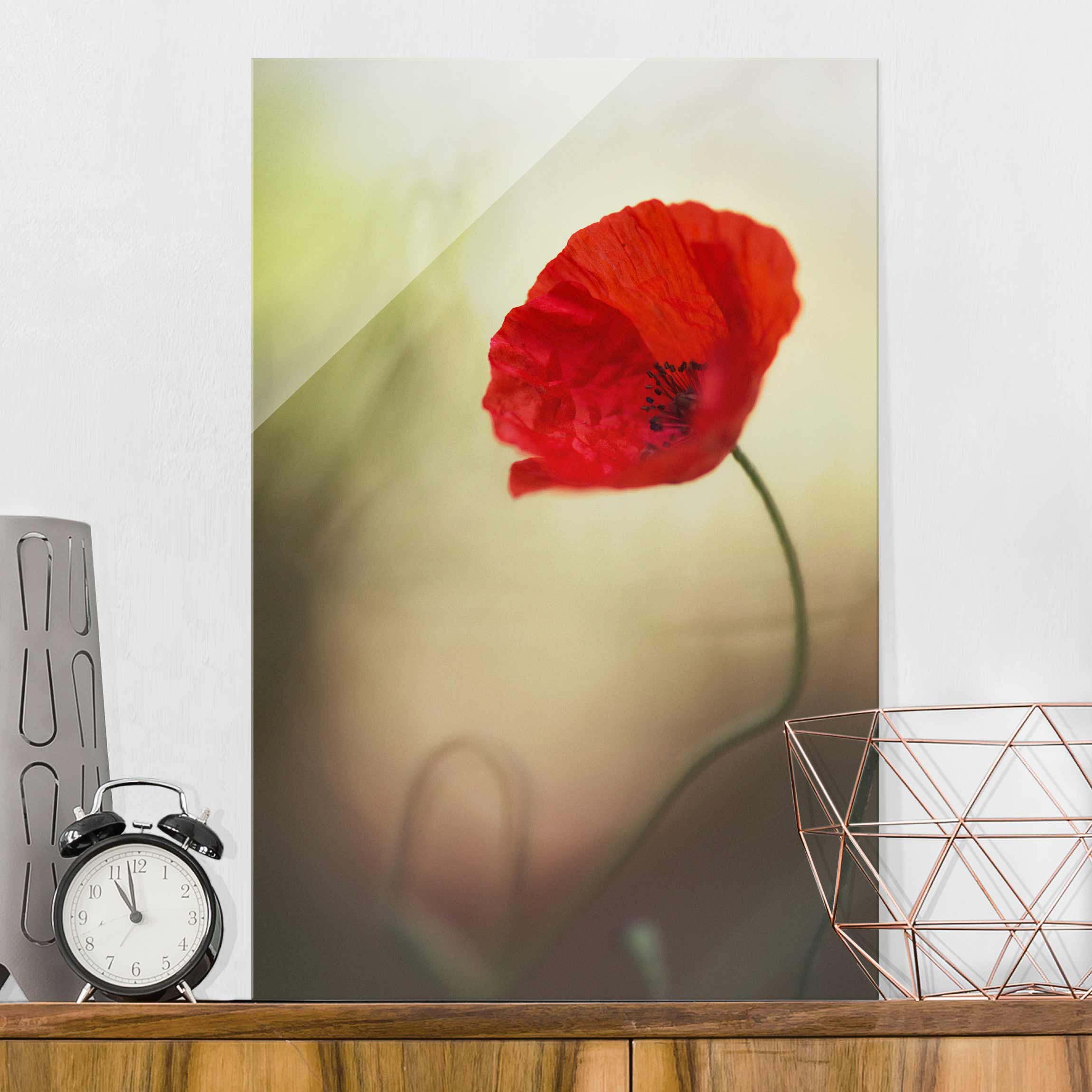 Glasbild - Hochformat Mohnblüte im Garten