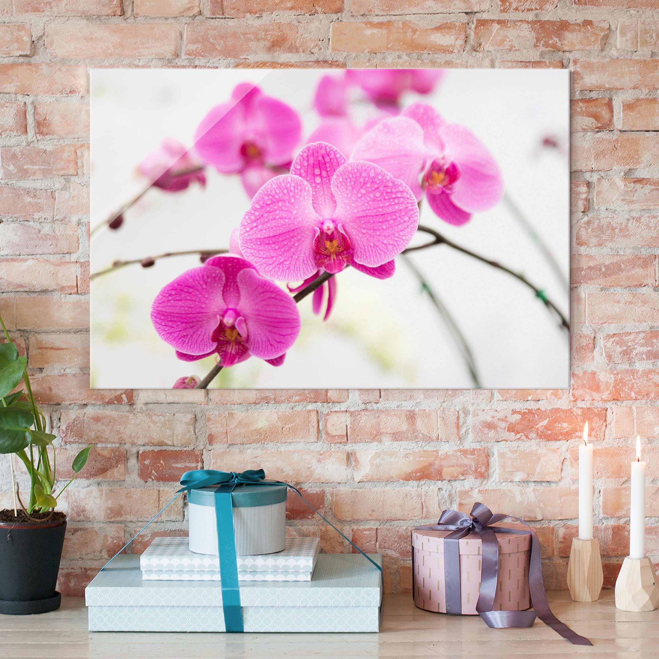 Glasbild Blumen Nahaufnahme Orchidee