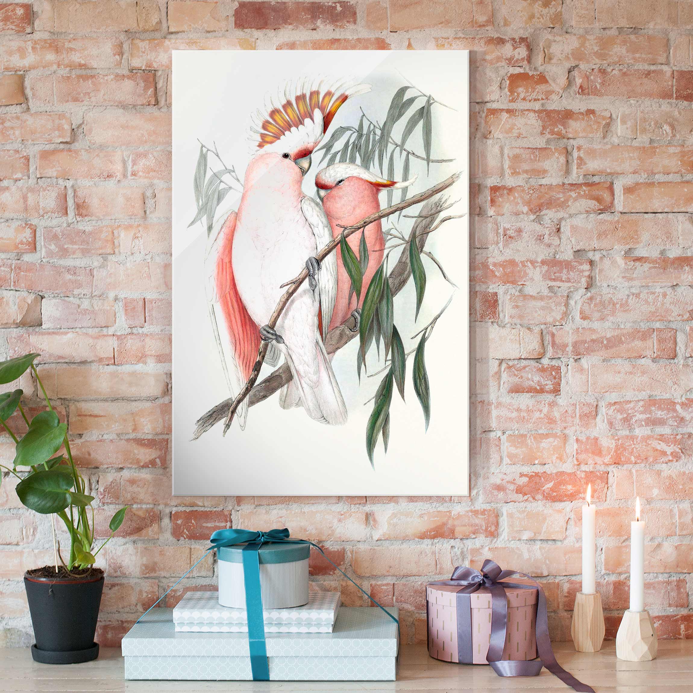 Glasbild Tiere Pastell Papageien I