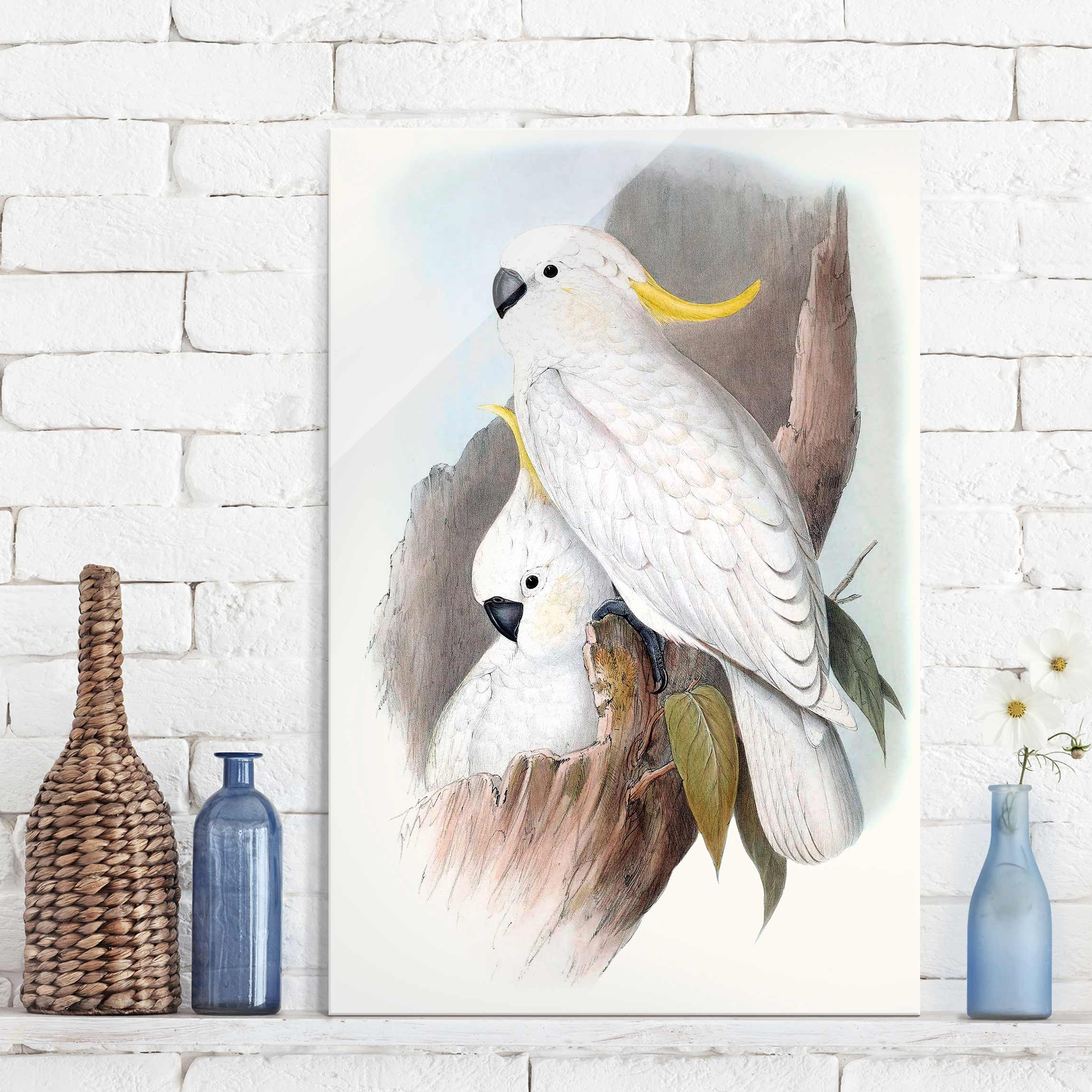 Glasbild Tiere Pastell Papageien III