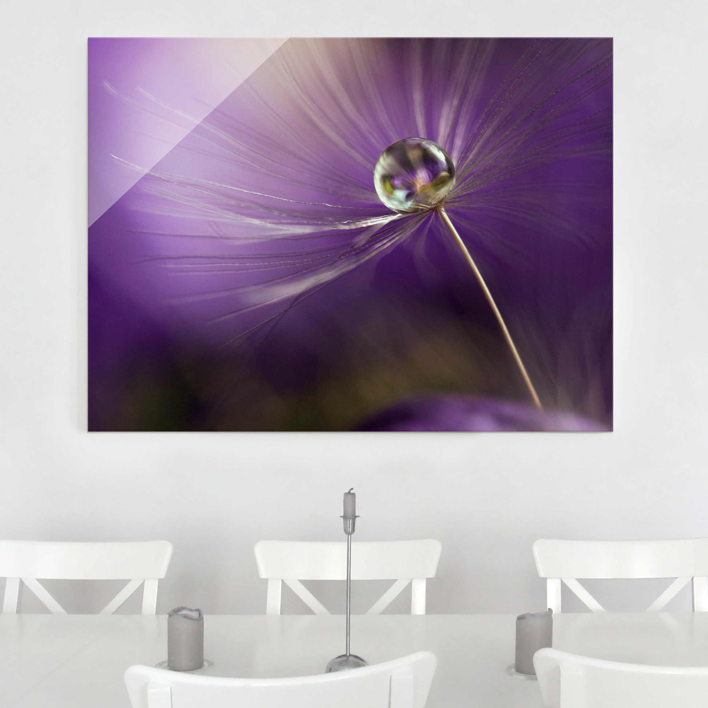 Glasbild Blumen Pusteblume in Violett