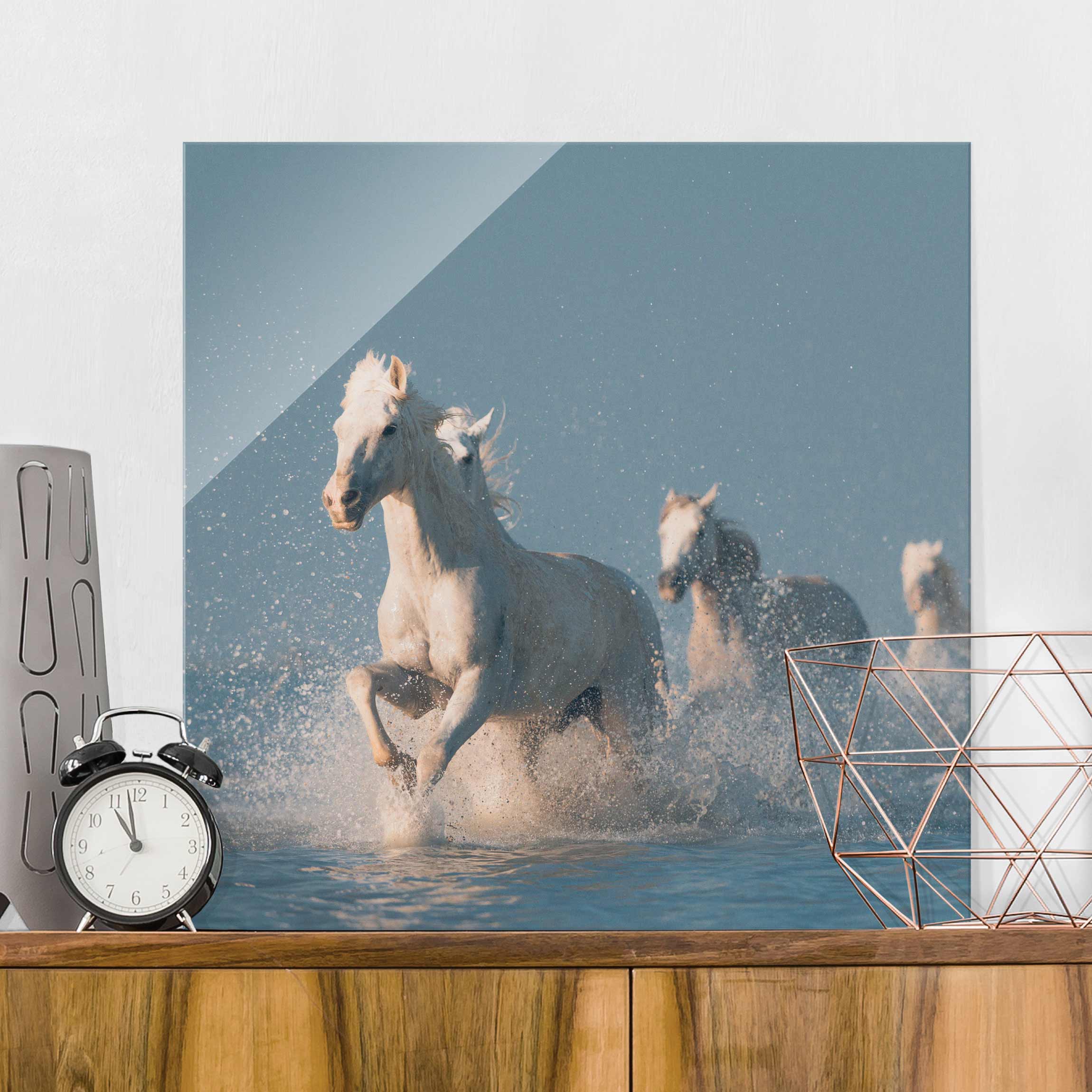 Glasbild Tiere Schimmelherde