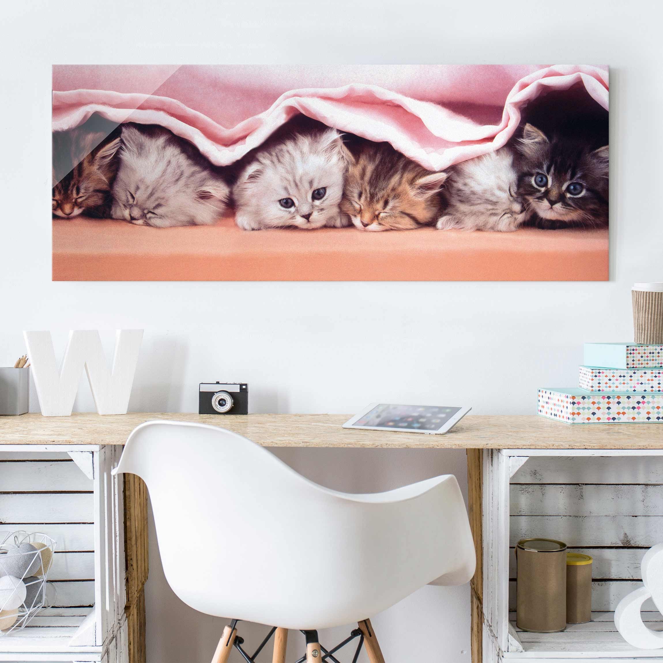 Glasbild Tiere Sugar-Sweet