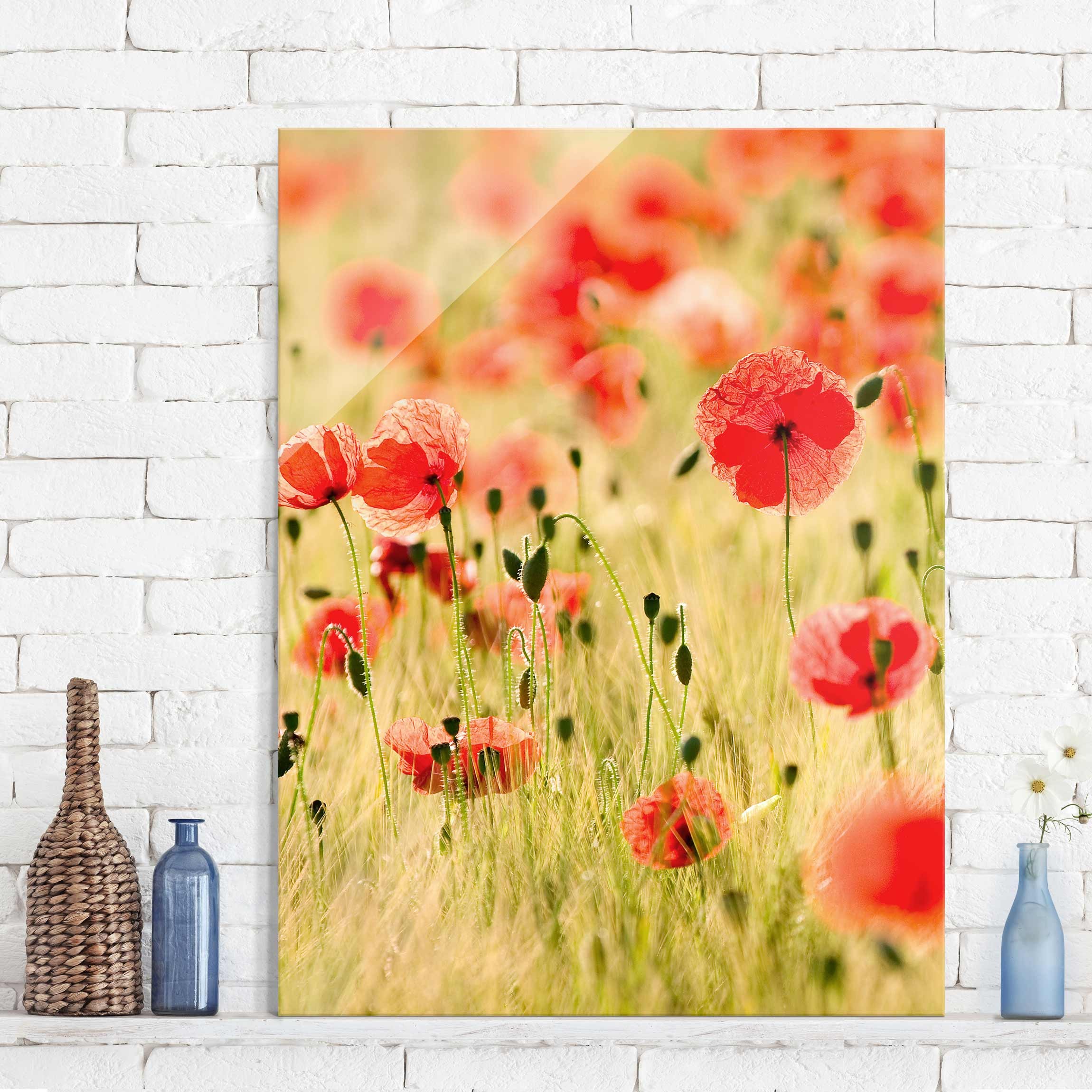 Glasbild Blumen Summer Poppies