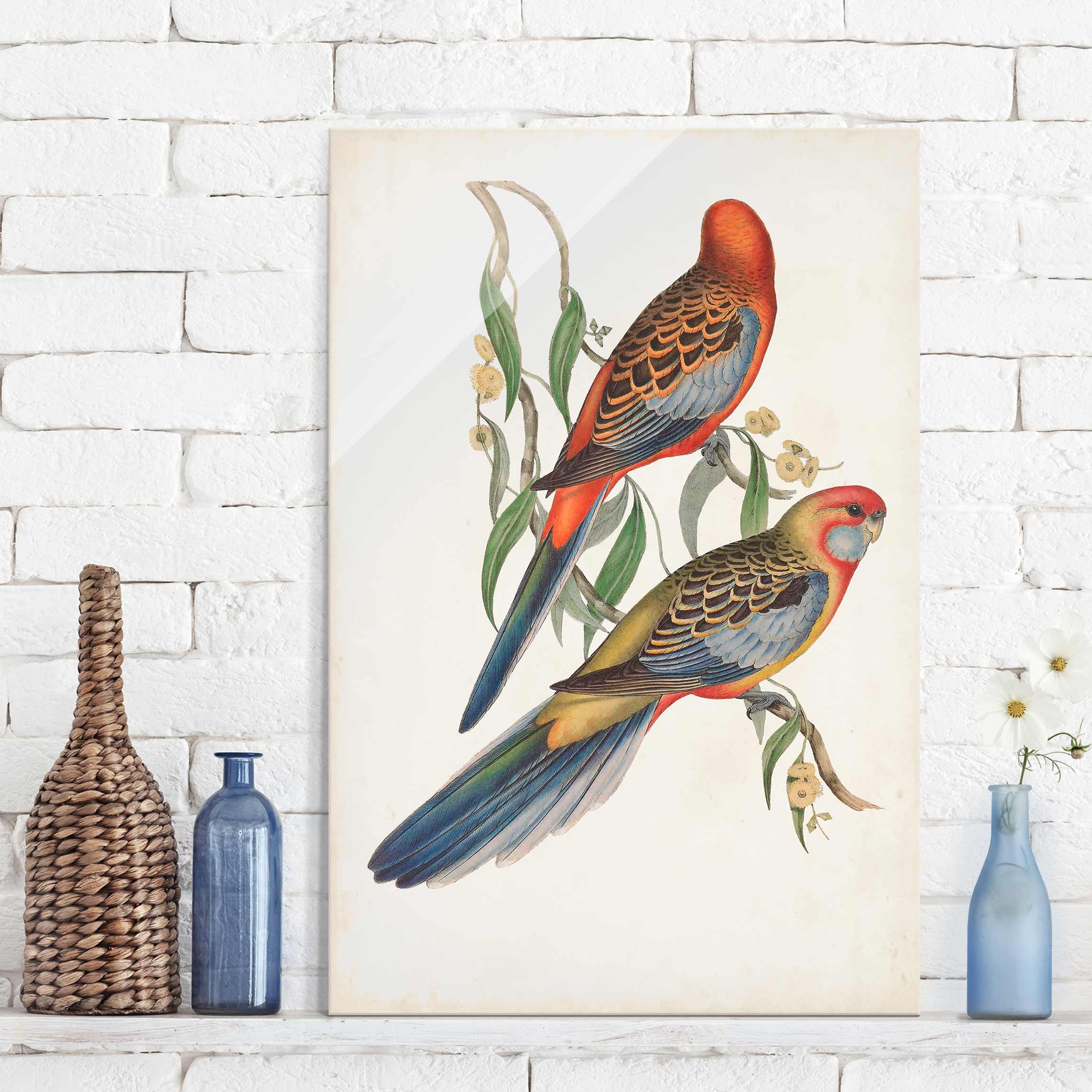 Glasbild Tiere Tropische Papageien II