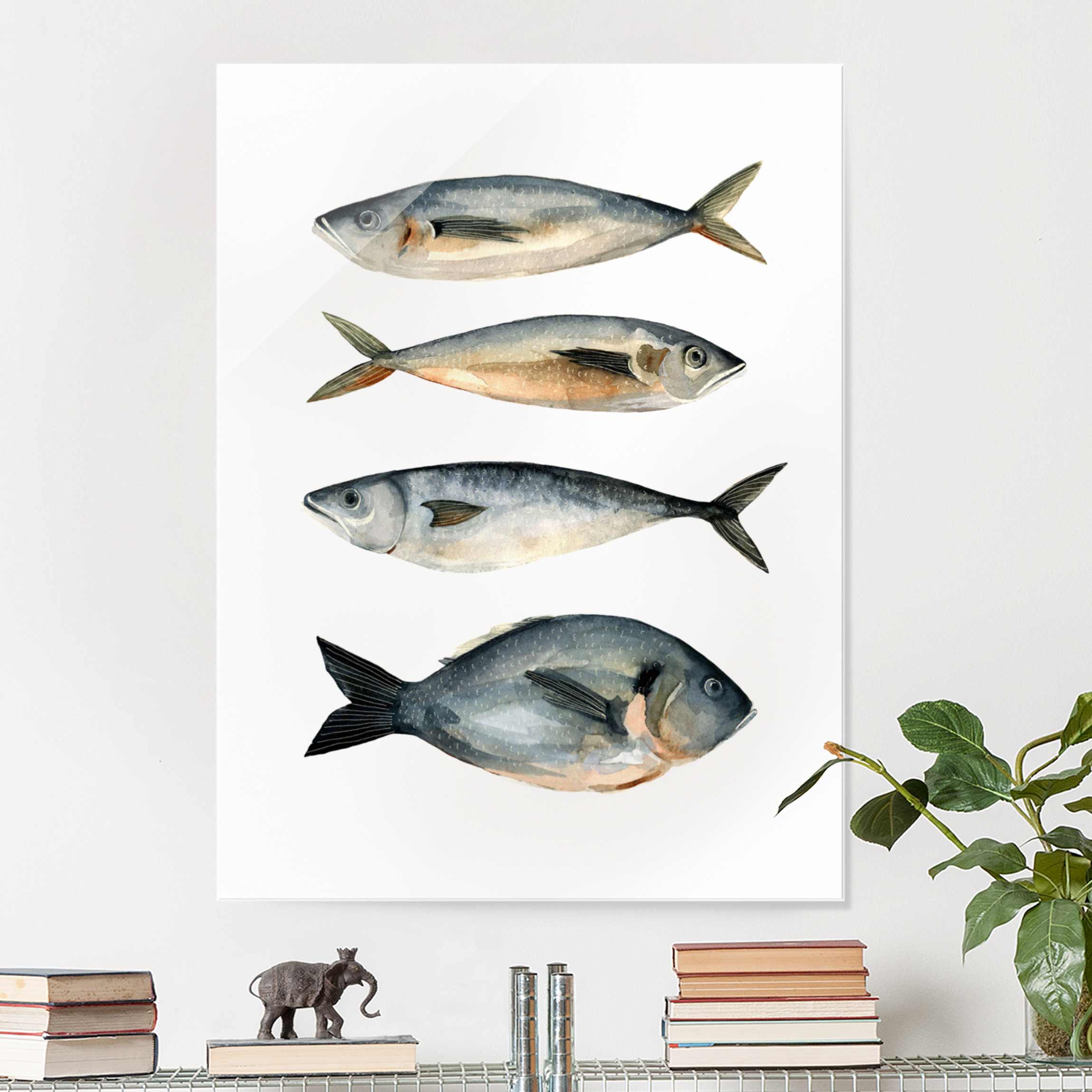Glasbild - Hochformat Vier Fische in Aquarell I