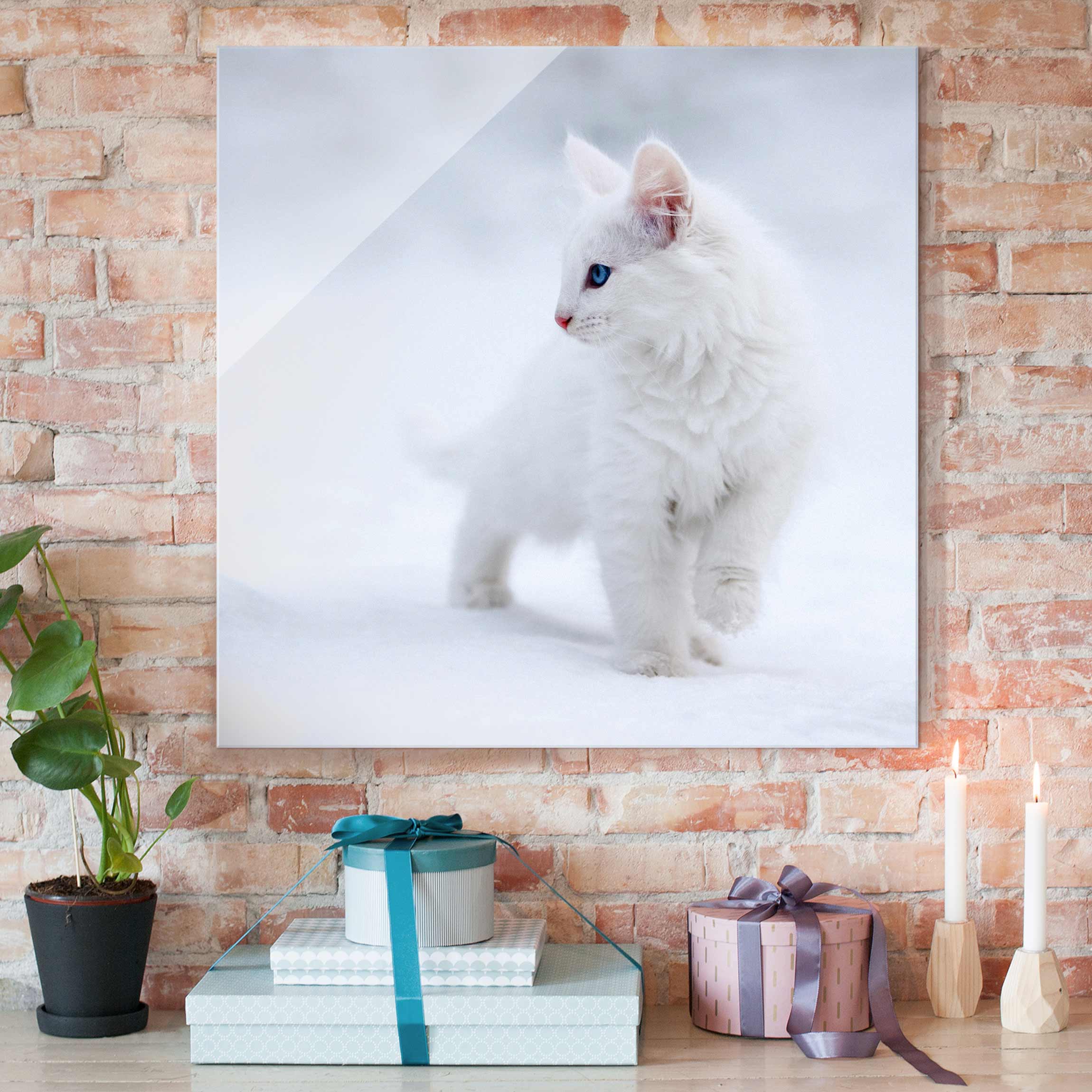 Glasbild Tiere Weiß wie Schnee