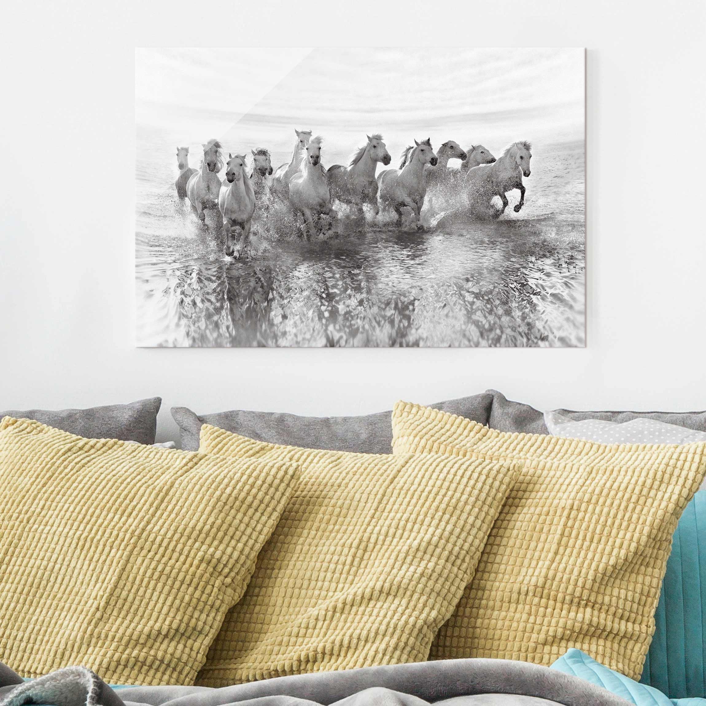 Glasbild - Querformat Weiße Pferde im Meer