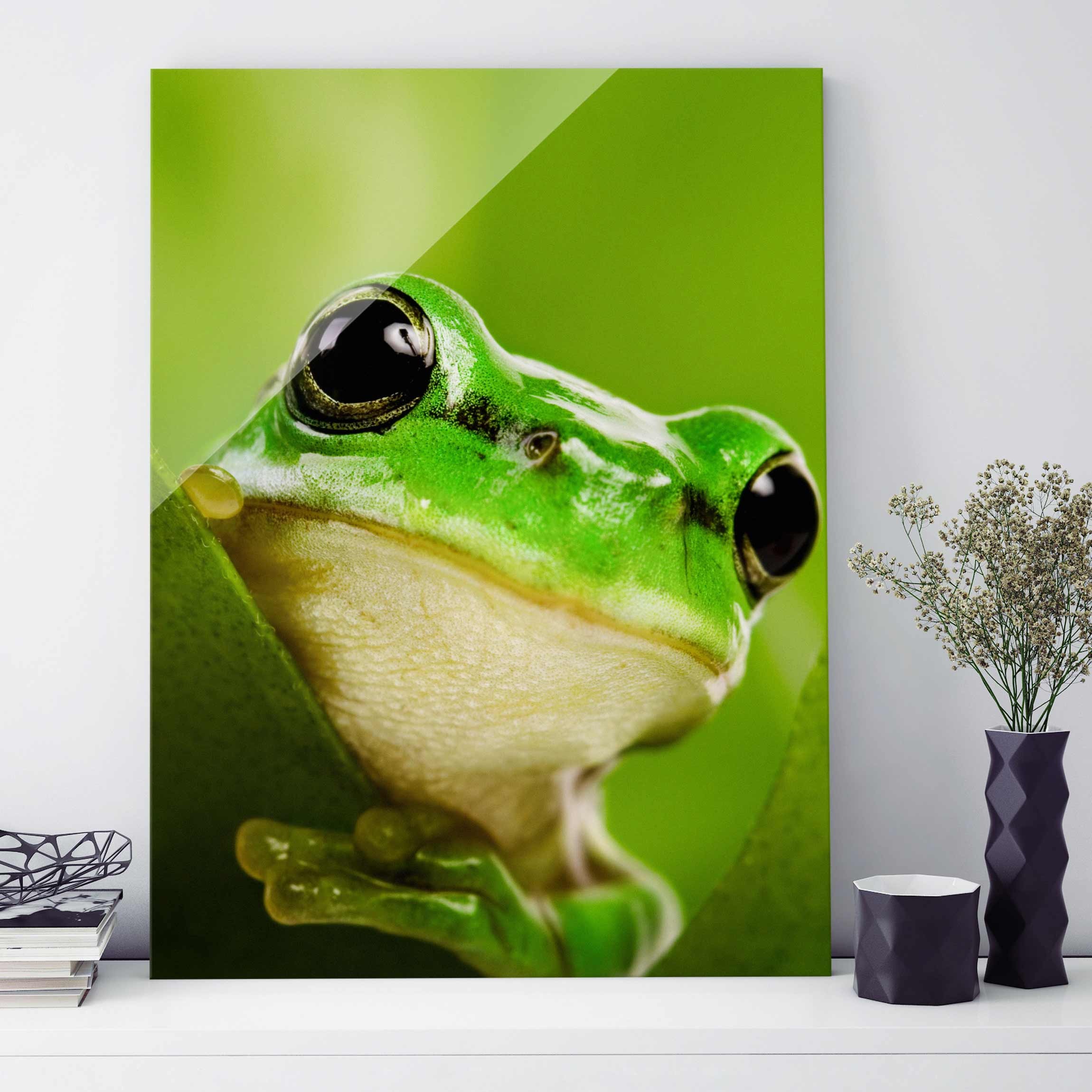 Glasbild Tiere Wetterfrosch