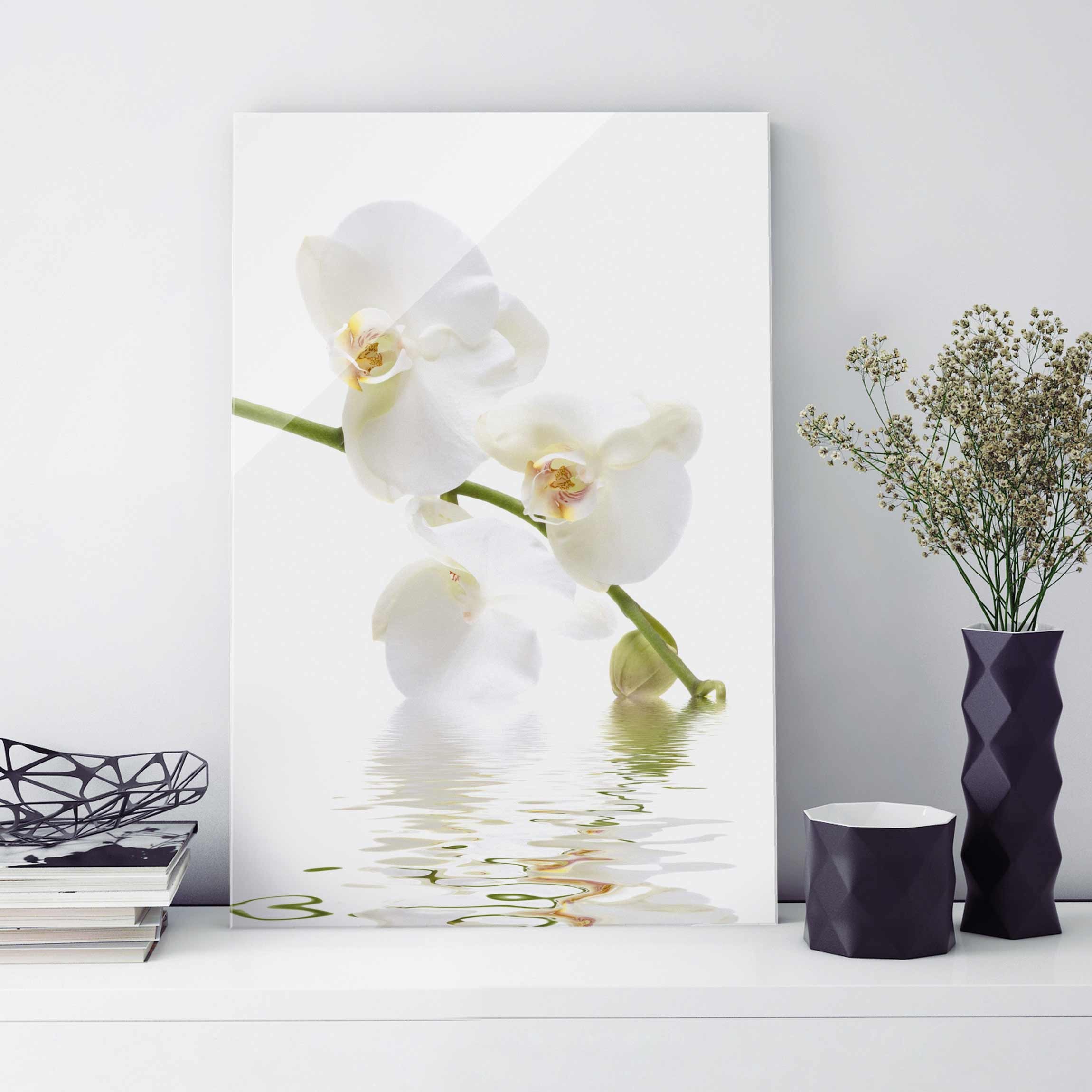 Glasbild Blumen White Orchid Waters