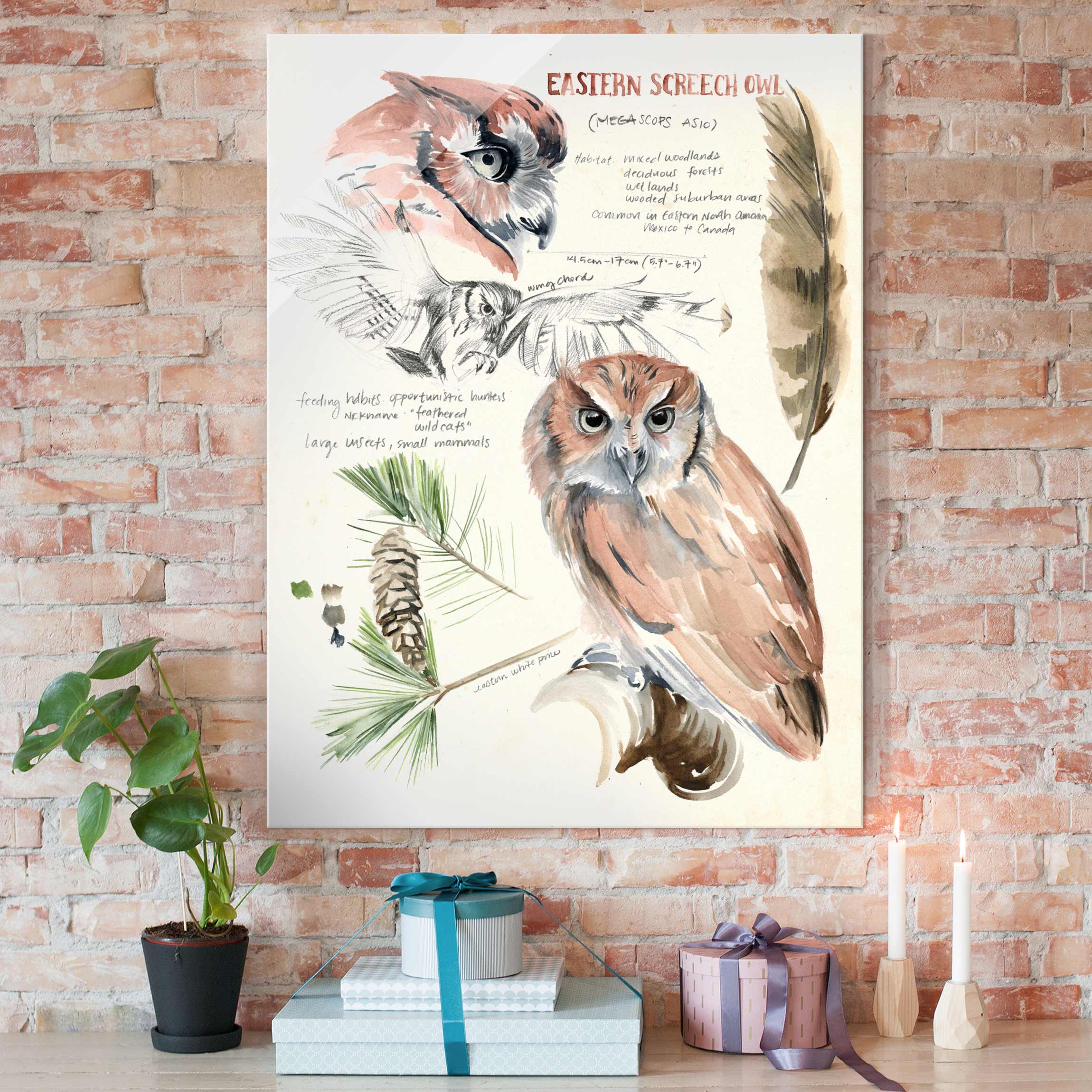 Glasbild Tiere Wildnis Journal - Eule