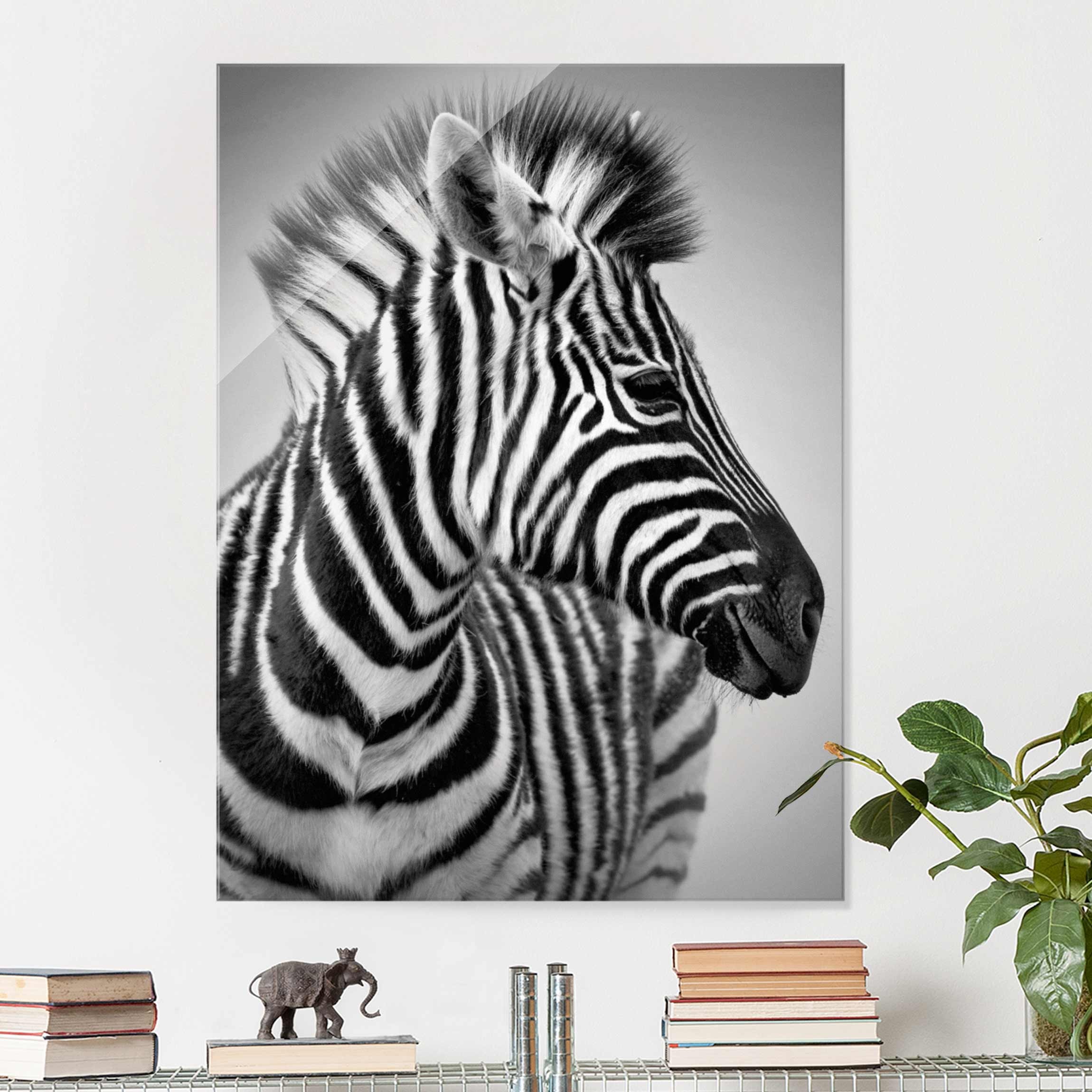 Glasbild - Hochformat Zebra Baby Portrait II