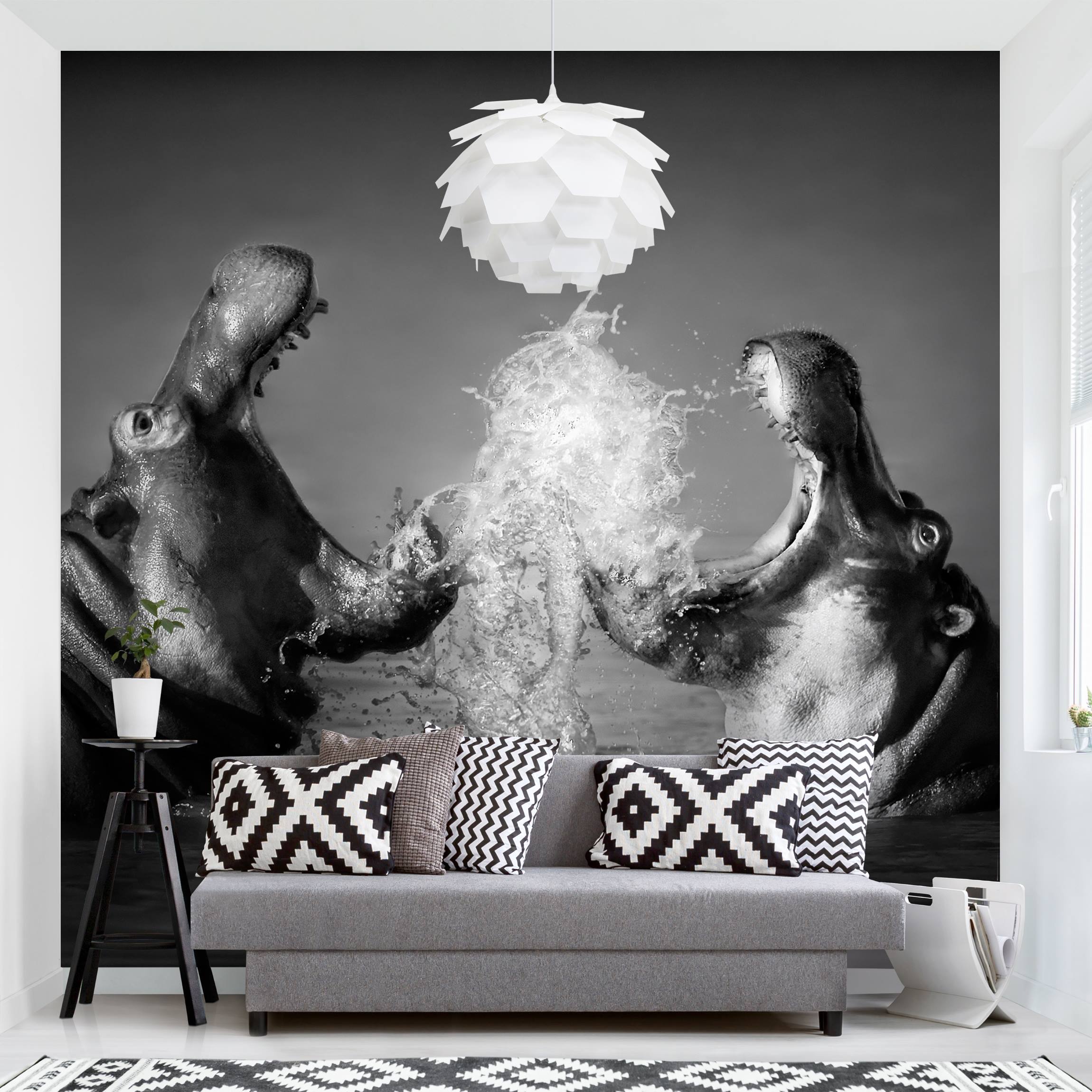 Fototapete Tiere Hippo Fight