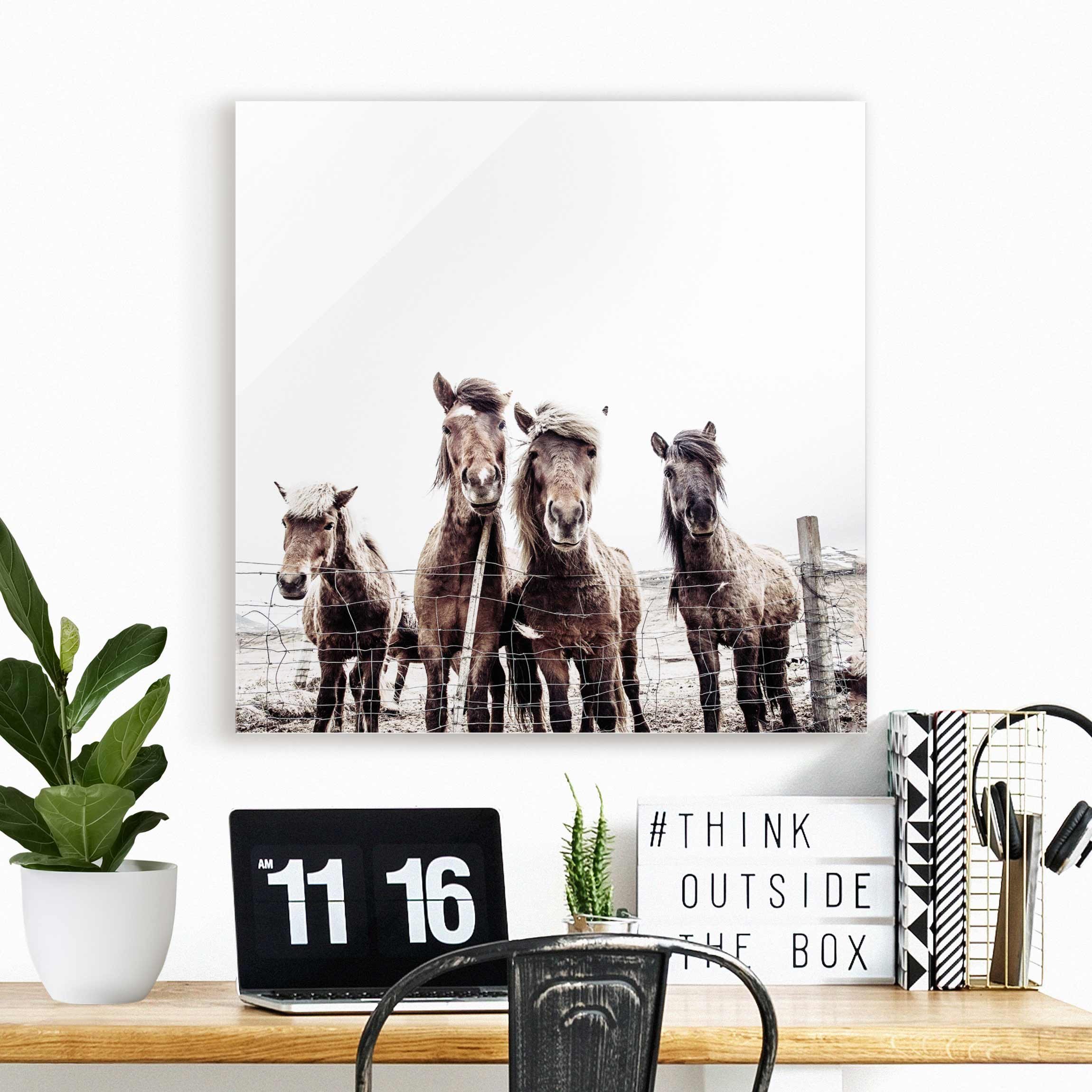 Glasbild Island Pferde