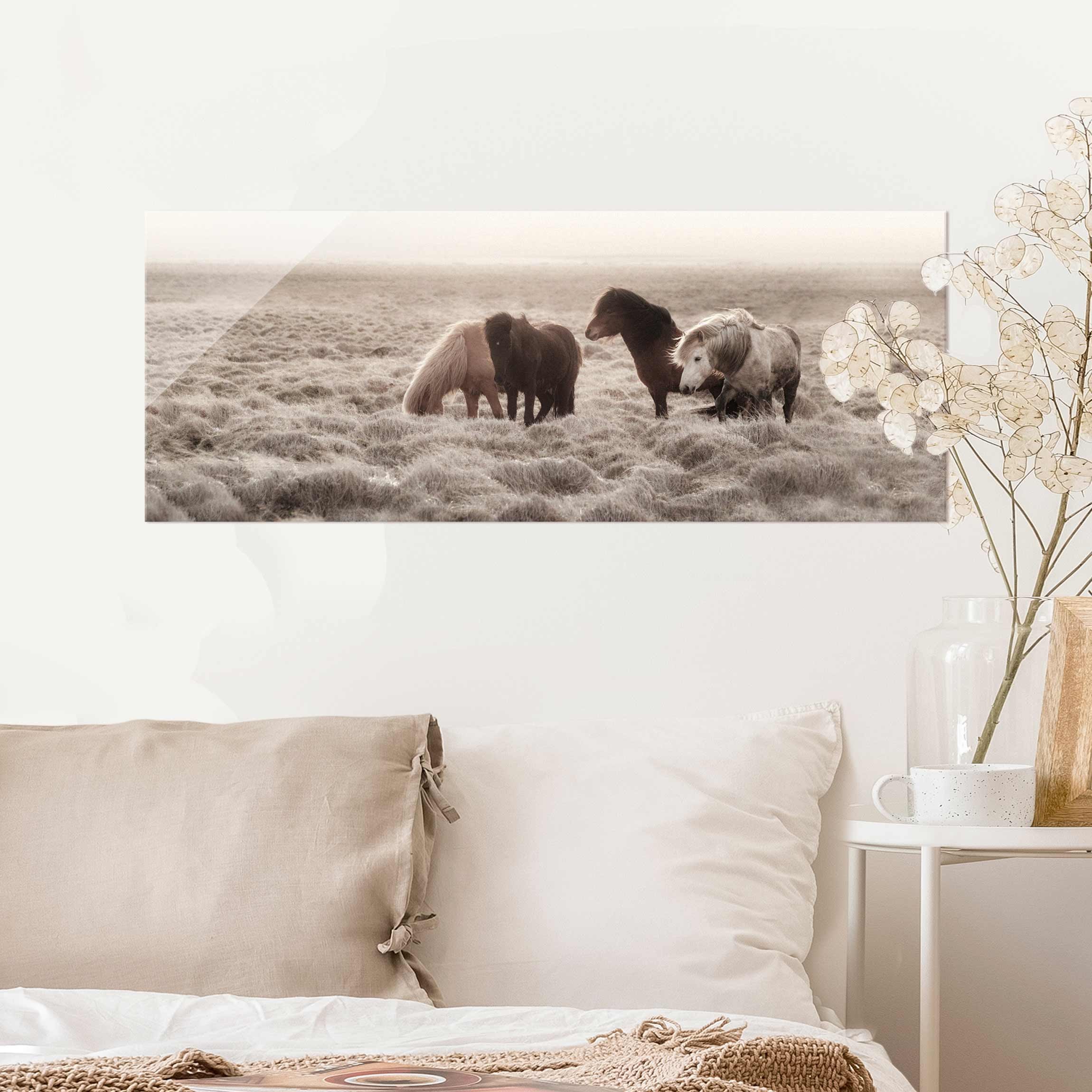 Glasbild Island Wildpferde