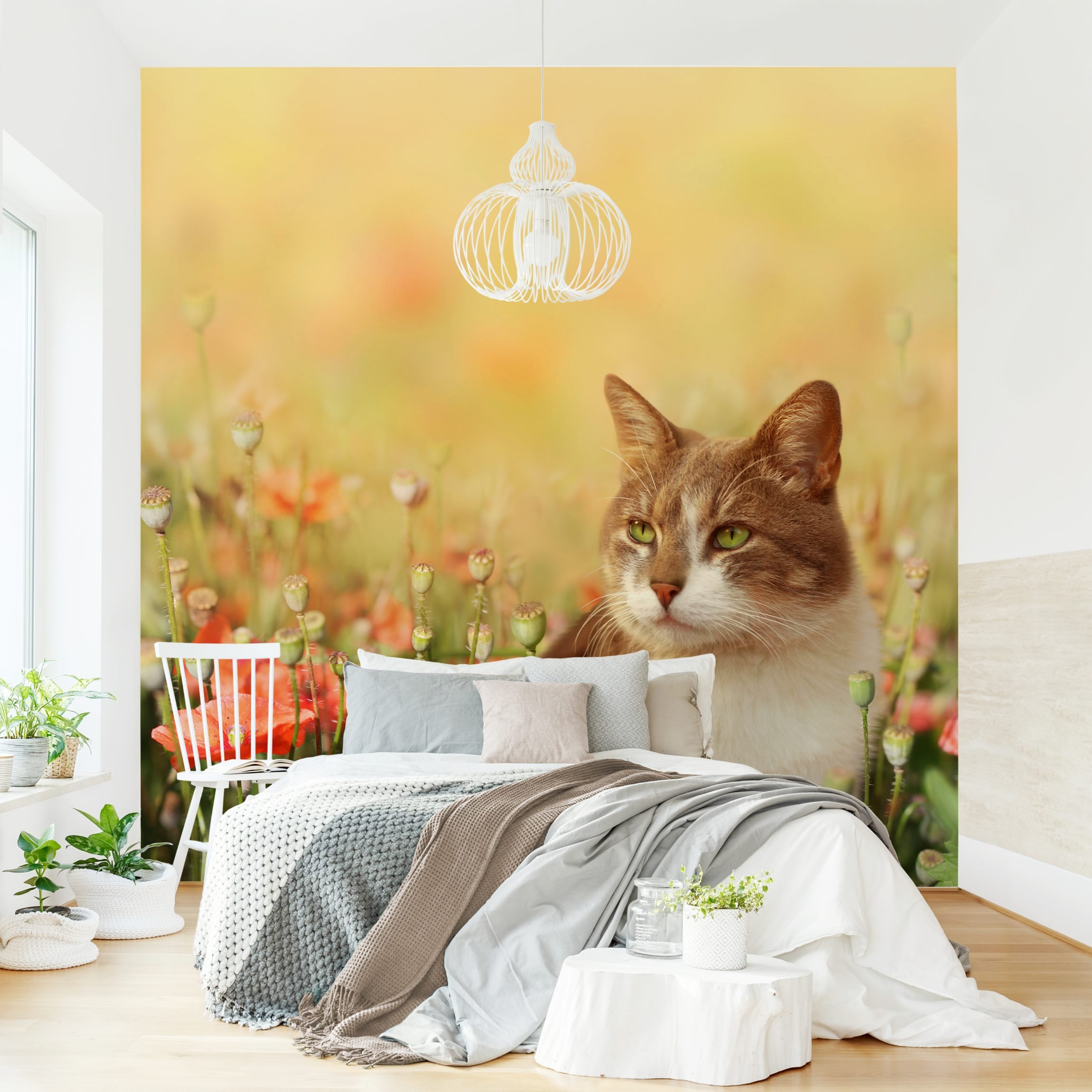 Fototapete Kinderzimmer Katze im Mohnfeld