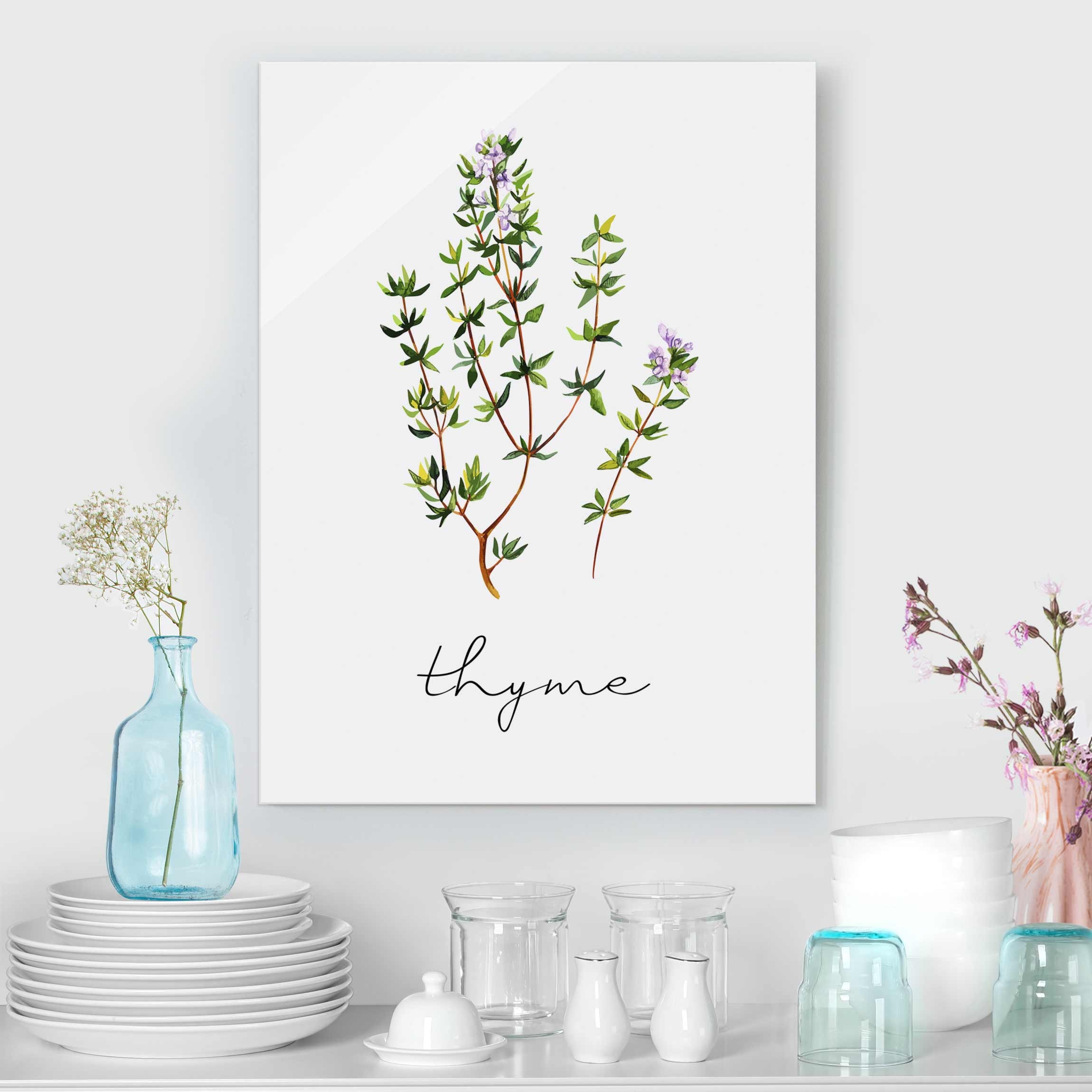 Glasbild Kräuter Illustration Thymian