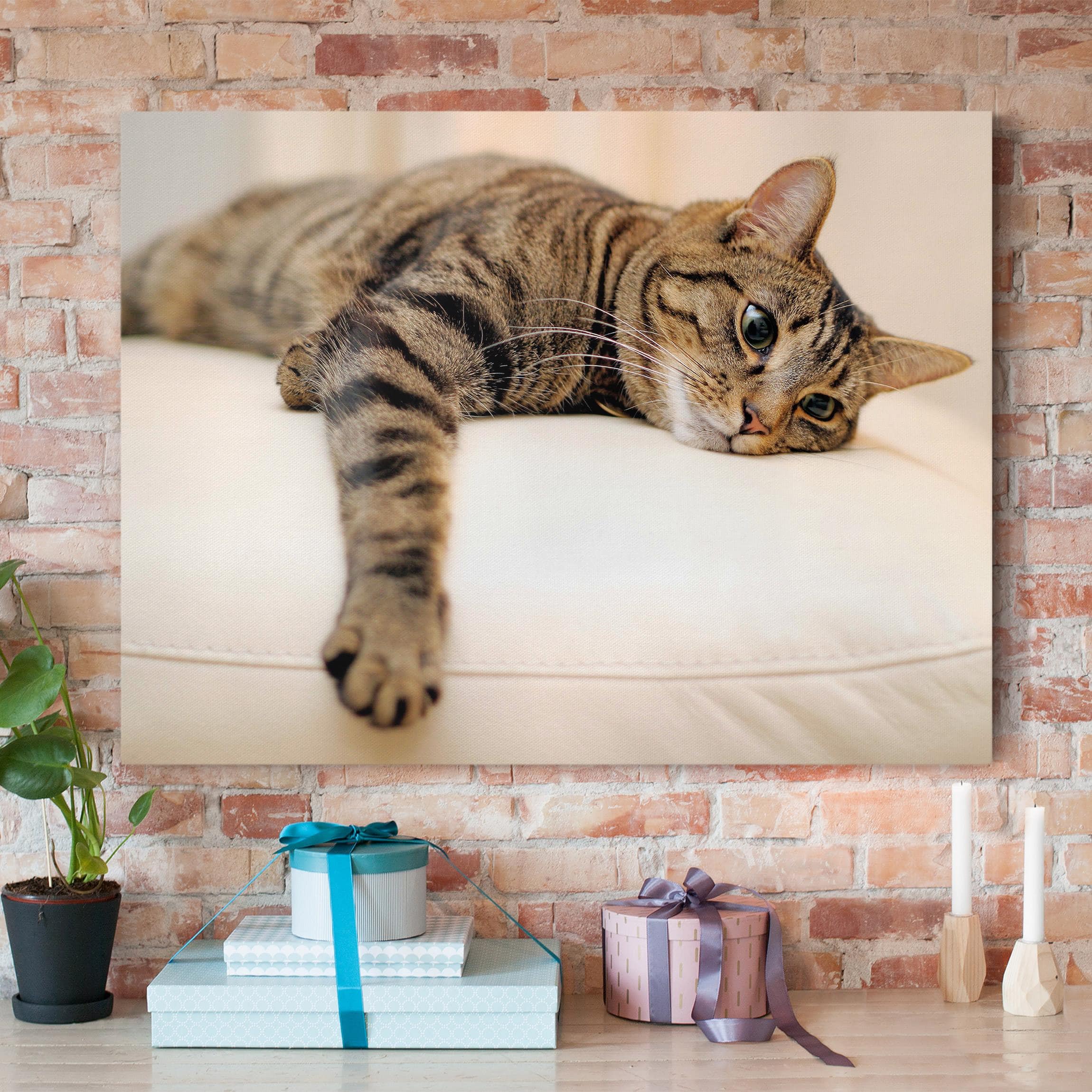 Leinwandbild Tiere Cat Chill Out
