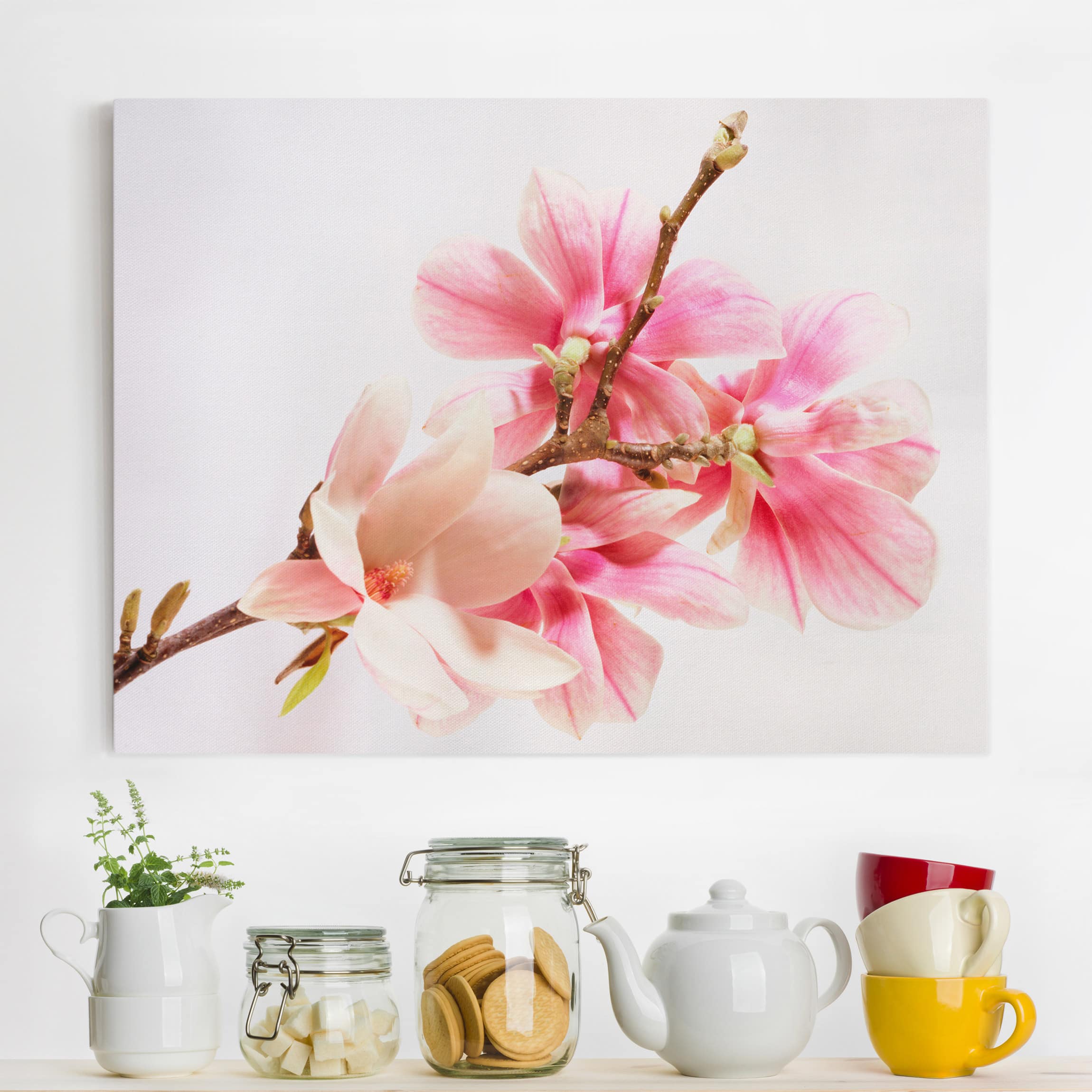 Leinwandbild Blumen Magnolienblüten
