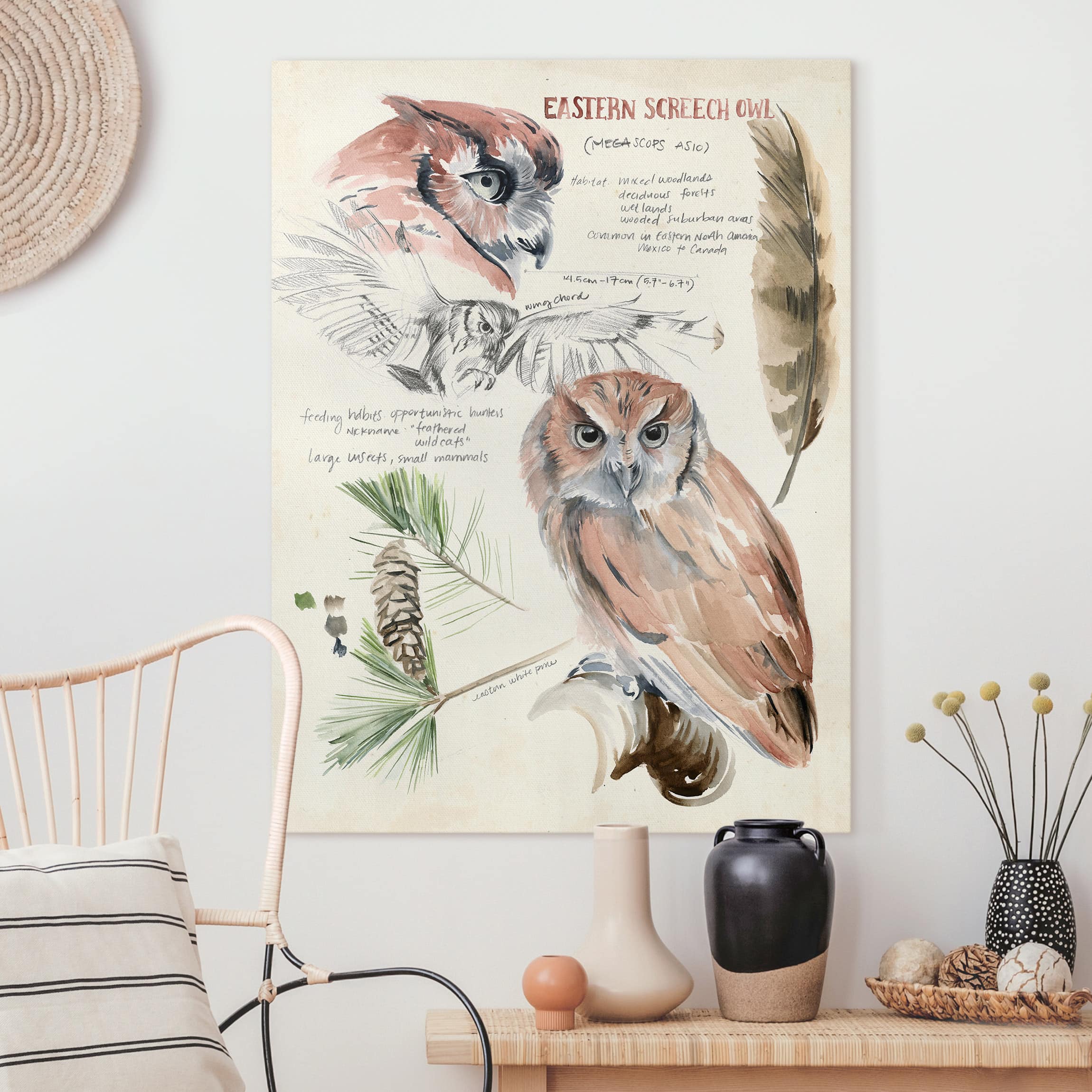 Leinwandbild Tiere Wildnis Journal - Eule