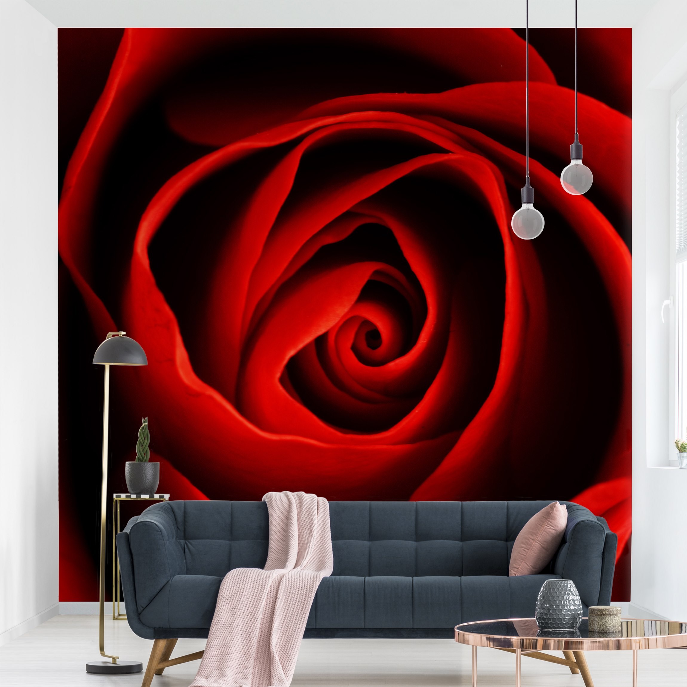 Fototapete Blumen Liebliche Rose