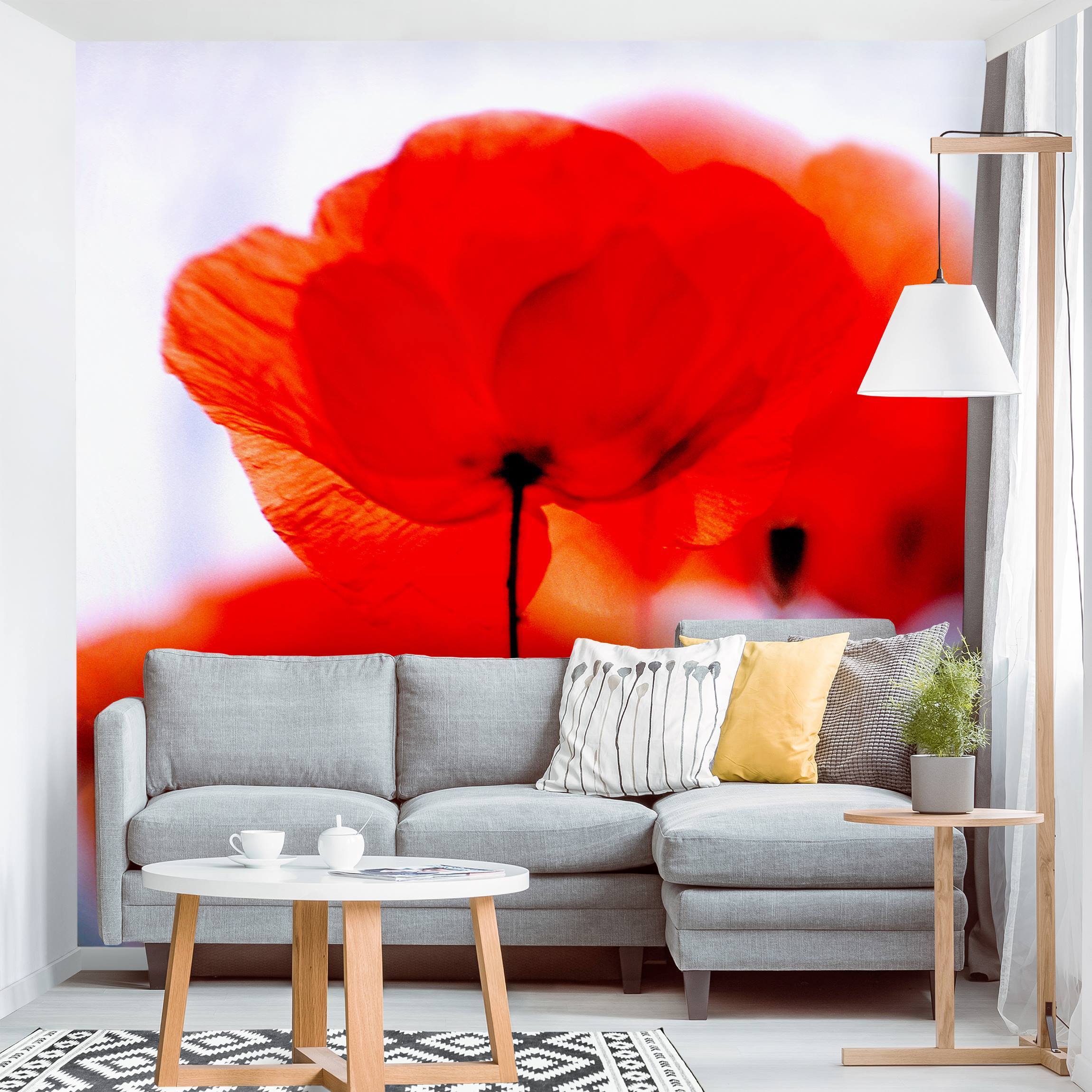 Fototapete Blumen Magic Poppies