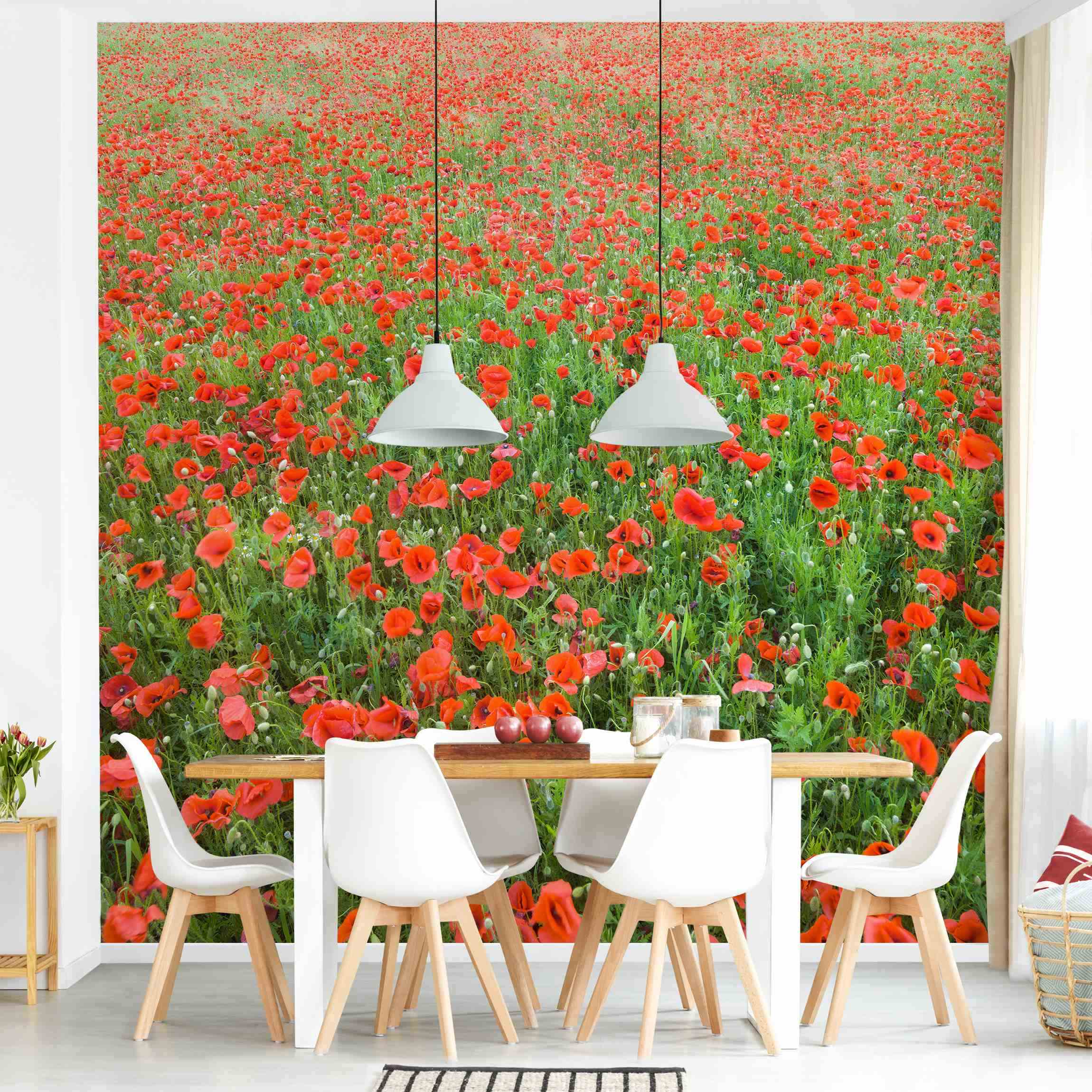 Fototapete Blumen Mohnblumenfeld
