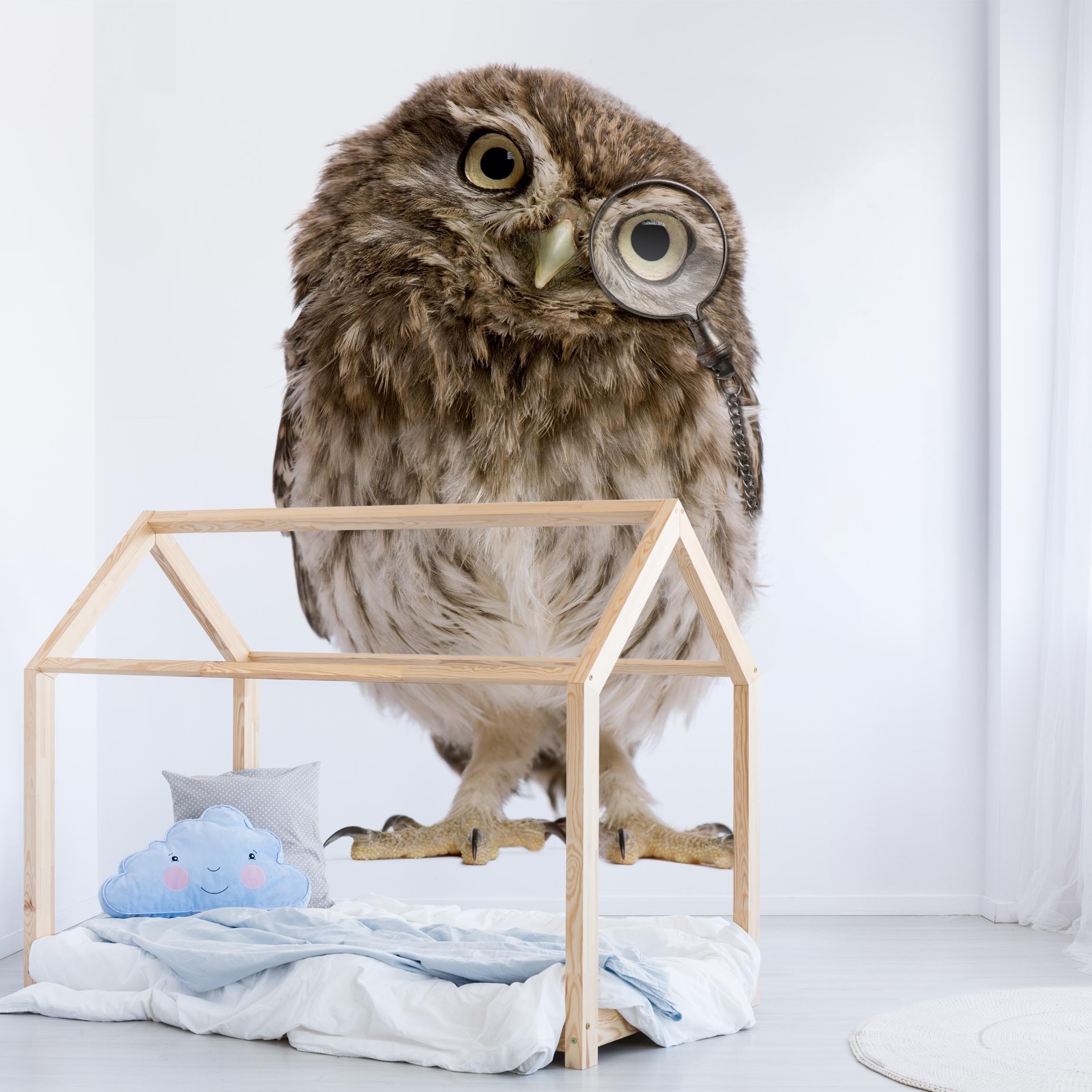 Fototapete Kinderzimmer Neugierige Eule