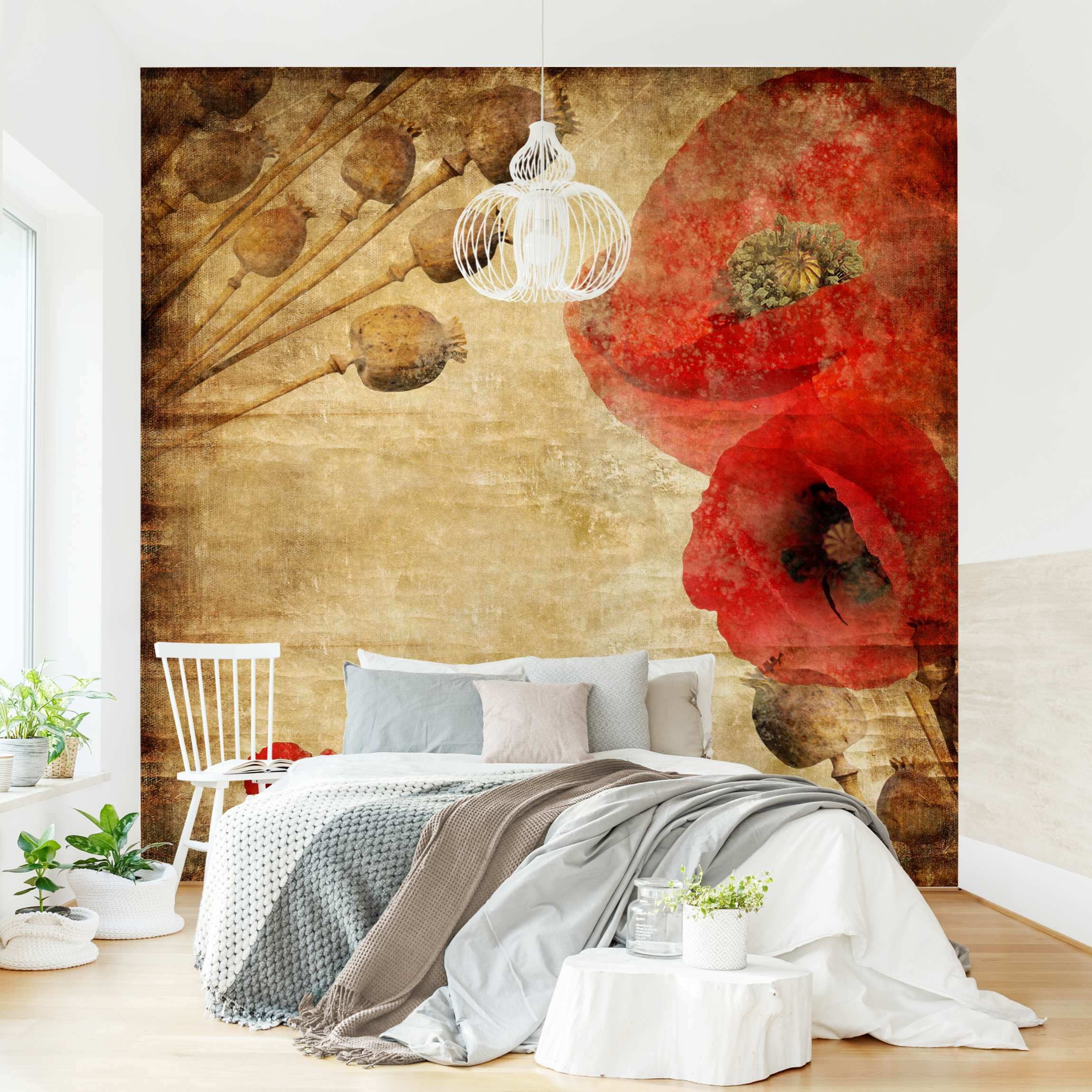 Fototapete Blumen Poppy Flower