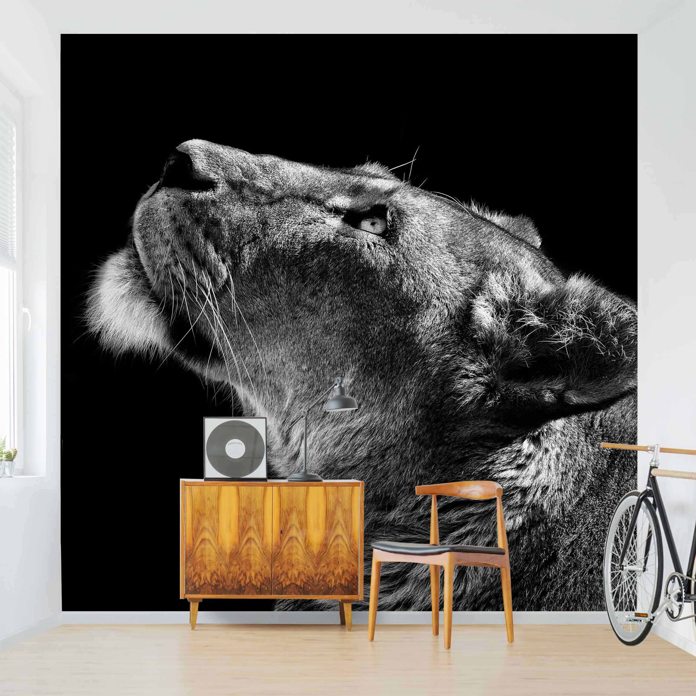 Fototapete Tiere Portrait einer Löwin