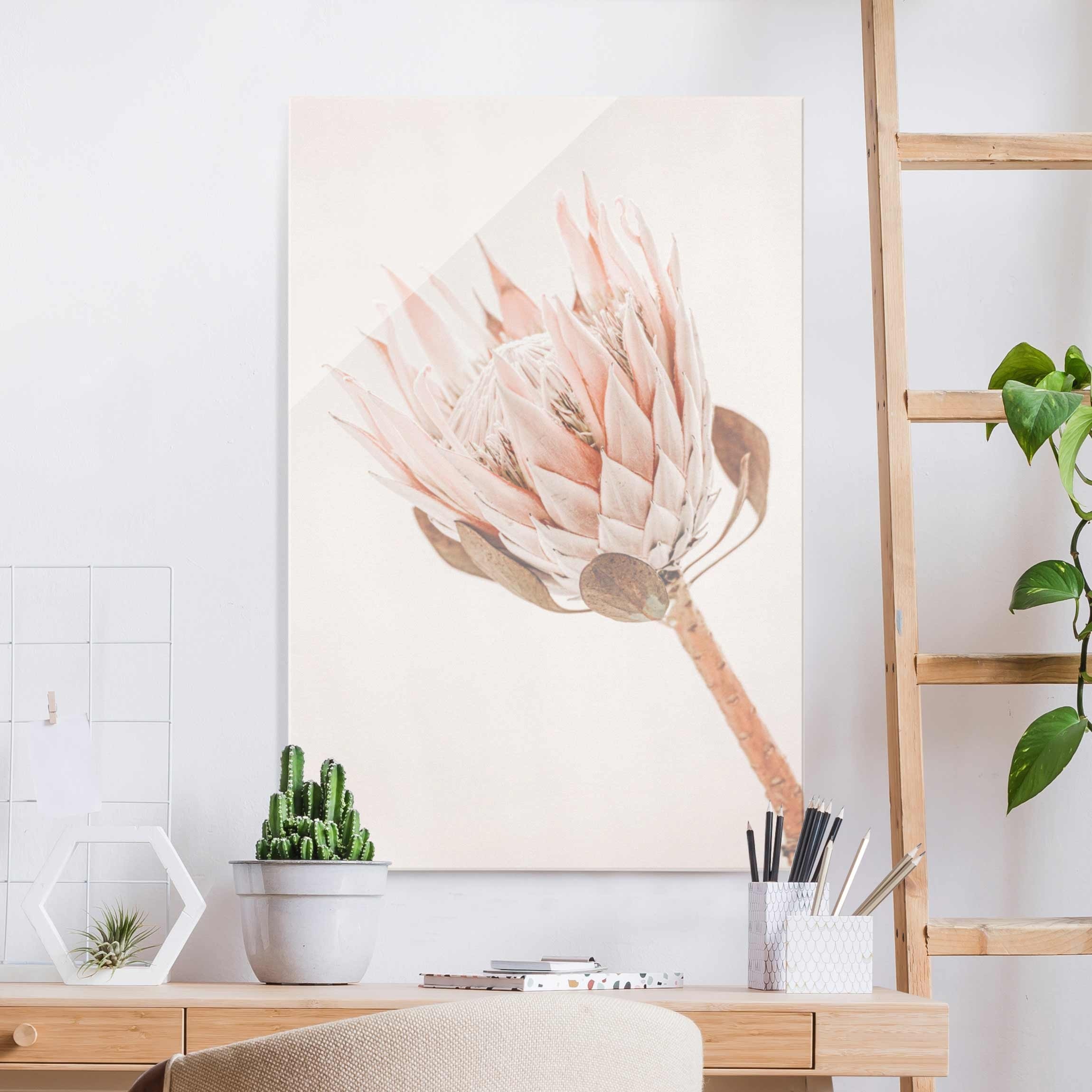 Glasbild Protea Königin der Blüten