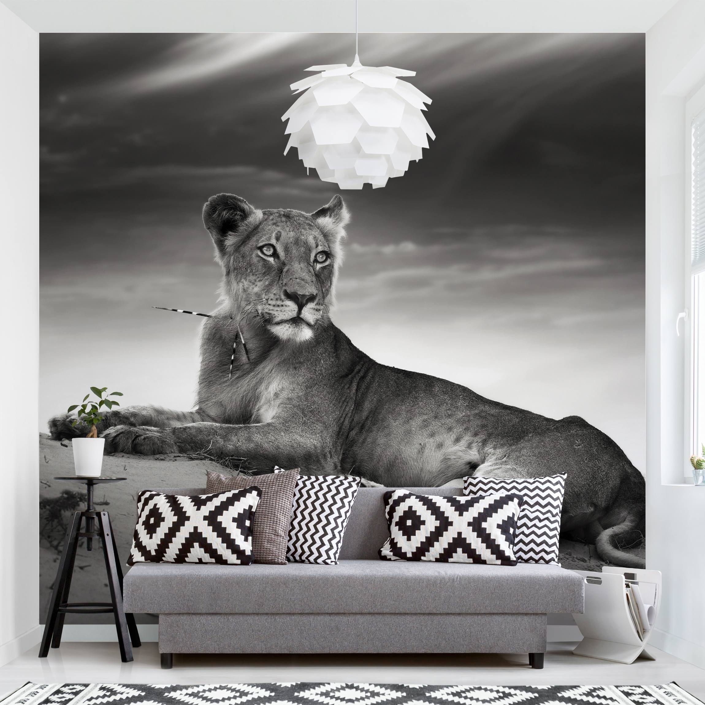 Fototapete Tiere Resting Lion