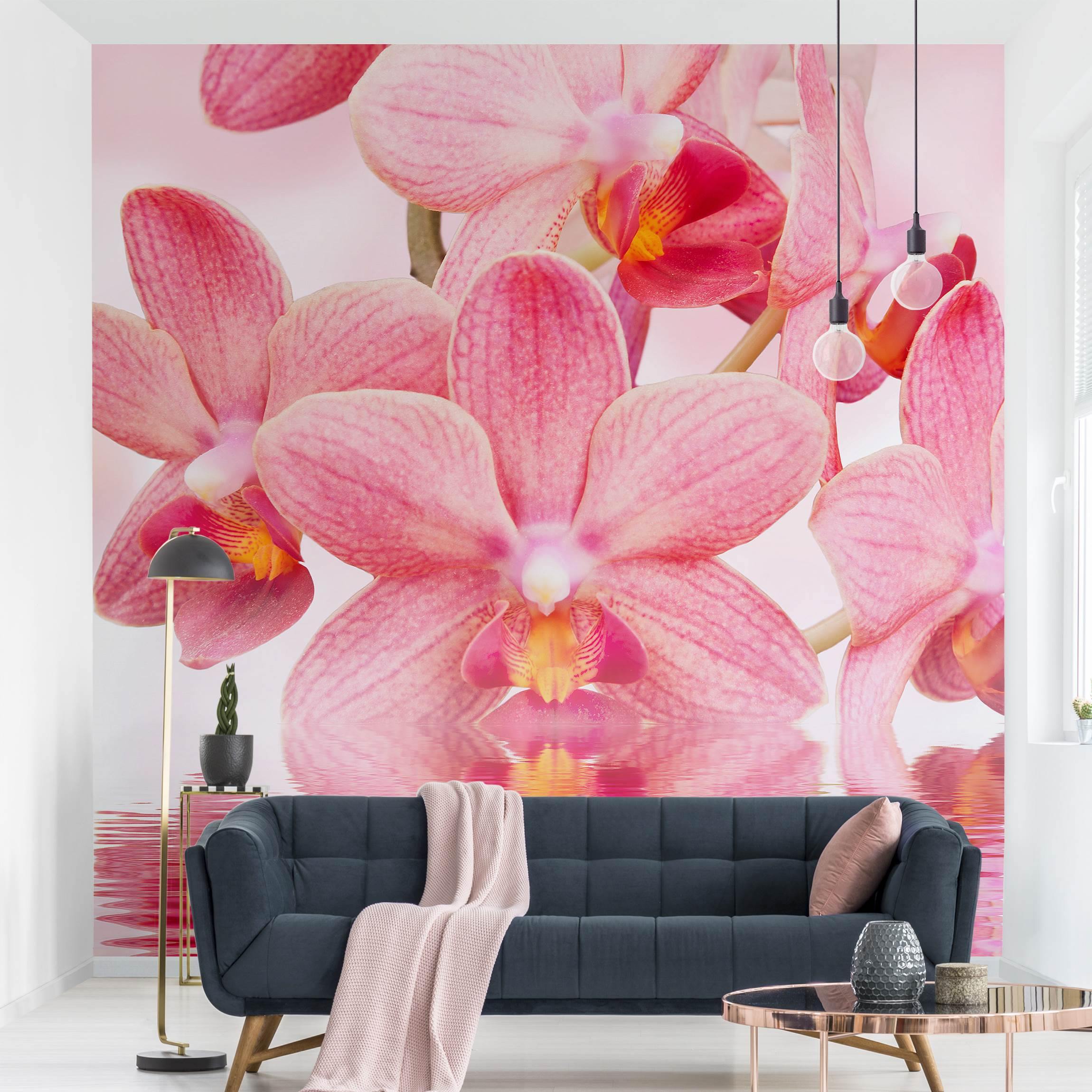 Fototapete Blumen Rosa Orchideen auf Wasser