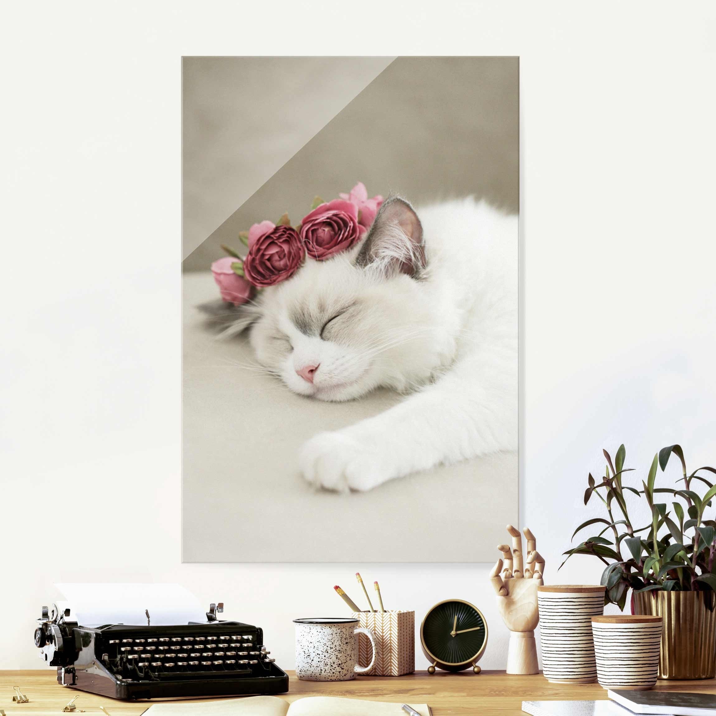 Glasbild Schlafende Katze mit Rosen