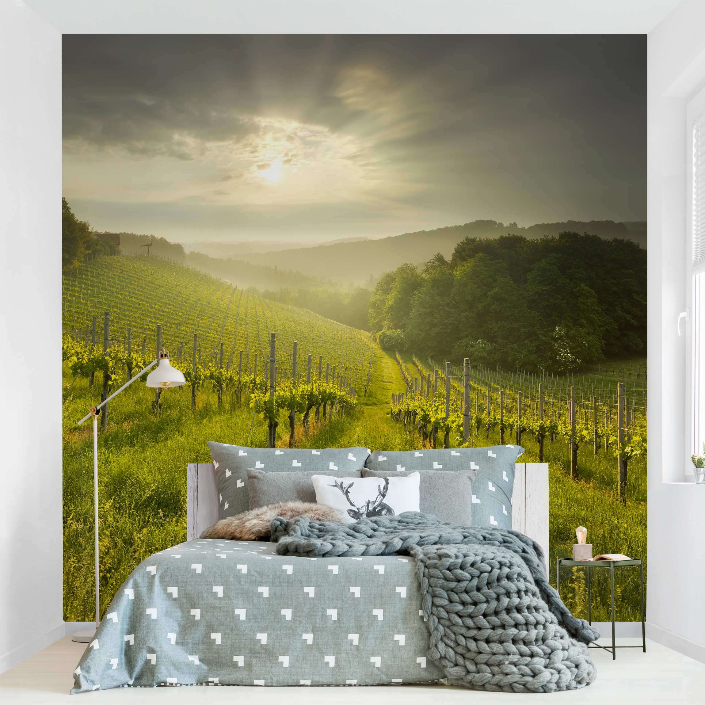 Fototapete Natur Sonnenstrahlen Weinberg