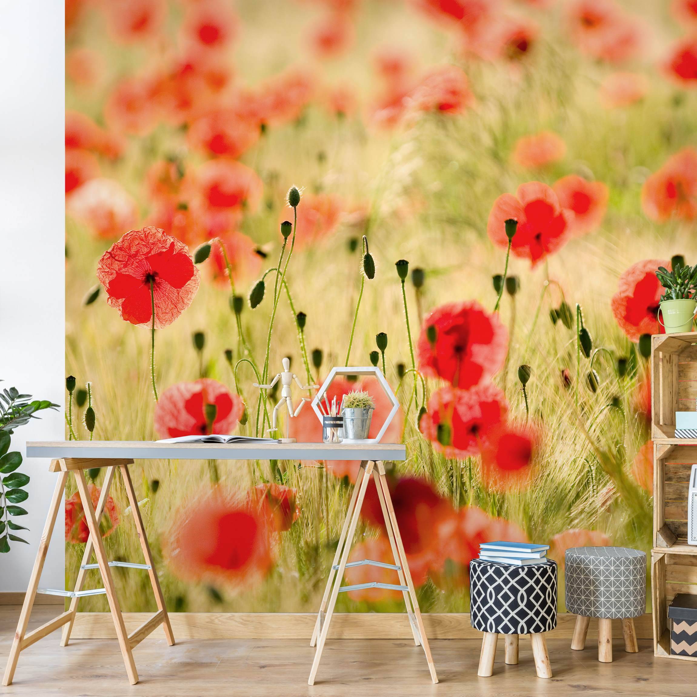 Fototapete Blumen Summer Poppies