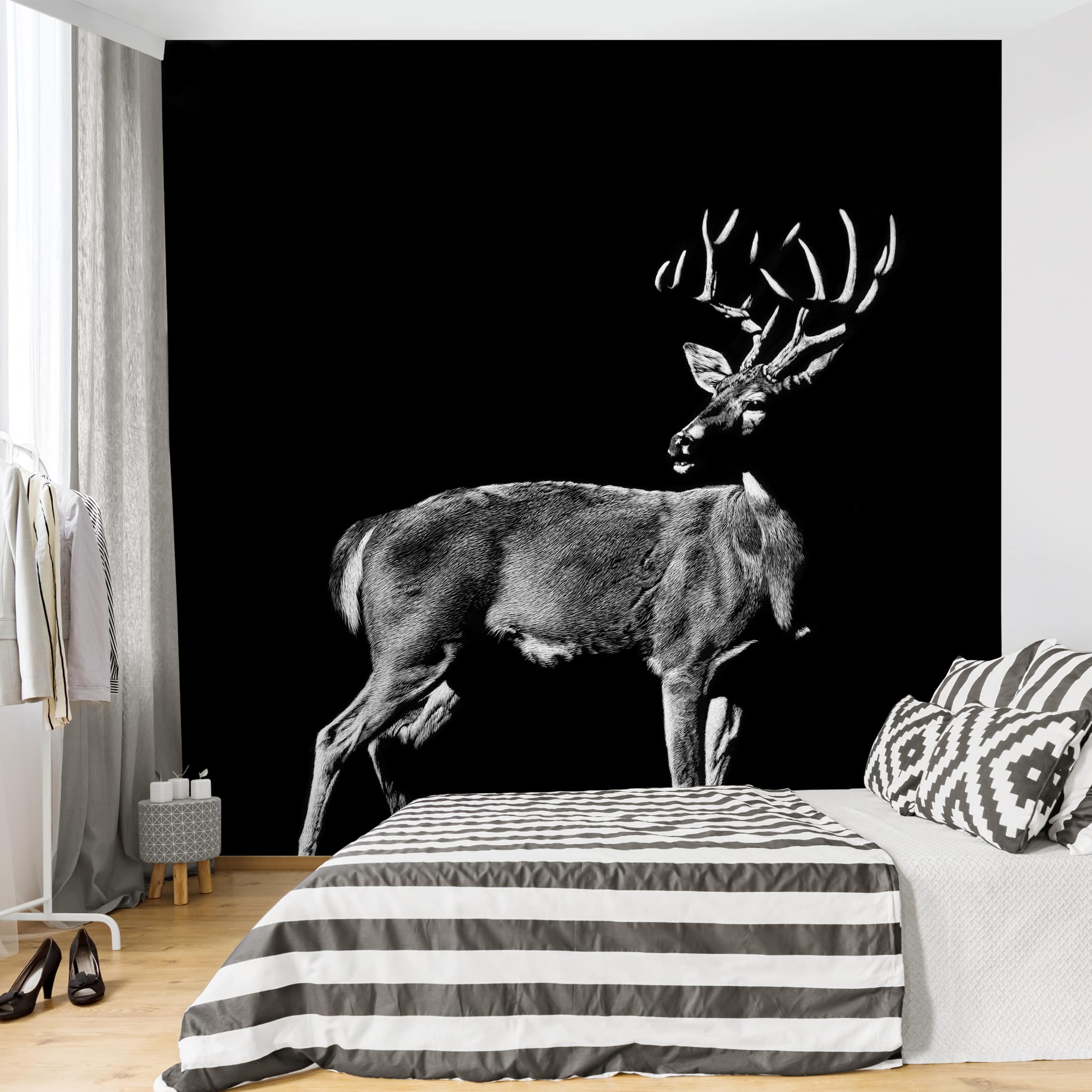 Fototapete Tiere Hirsch vor Schwarz