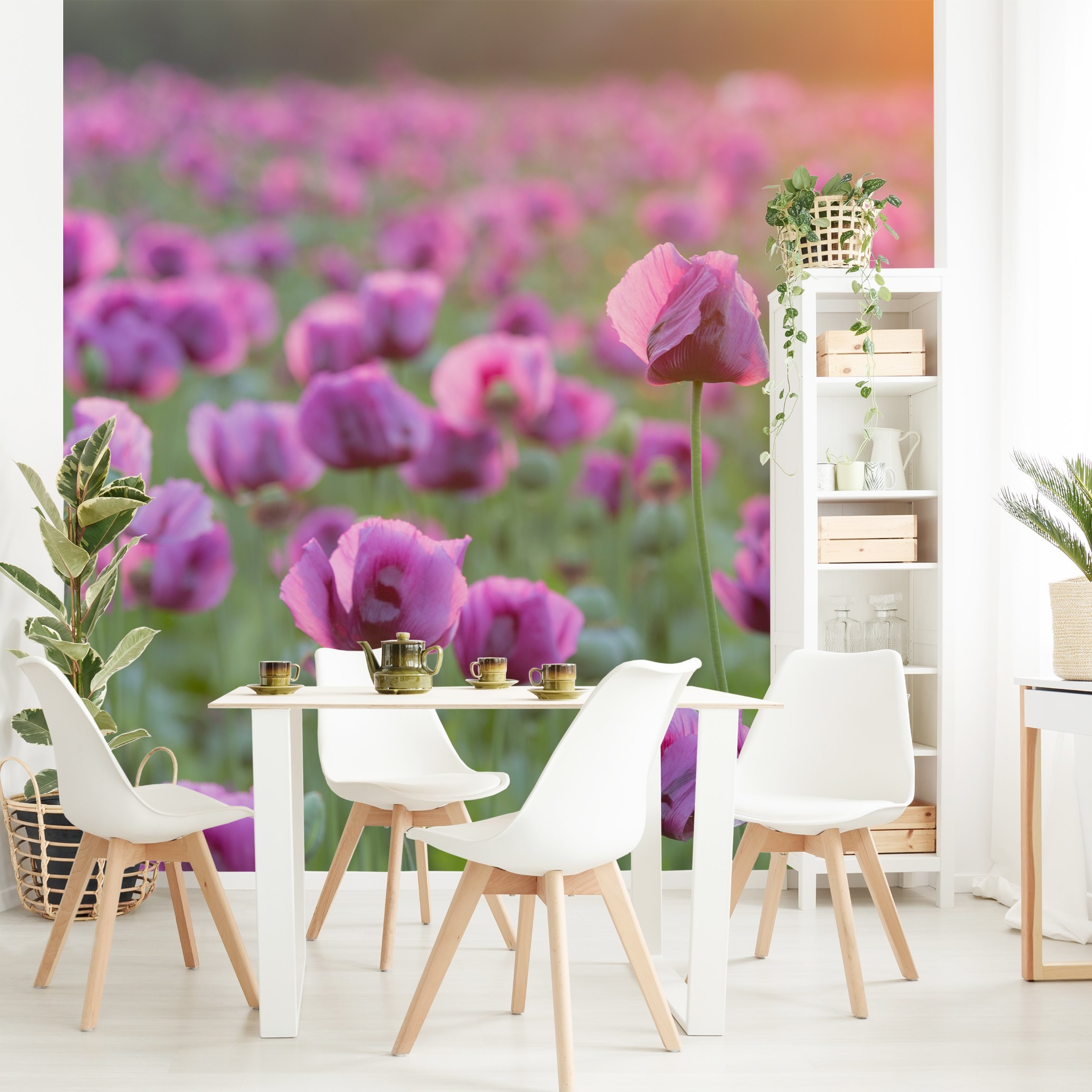 Fototapete Blumen Violette Schlafmohn Blumenwiese im Frühling