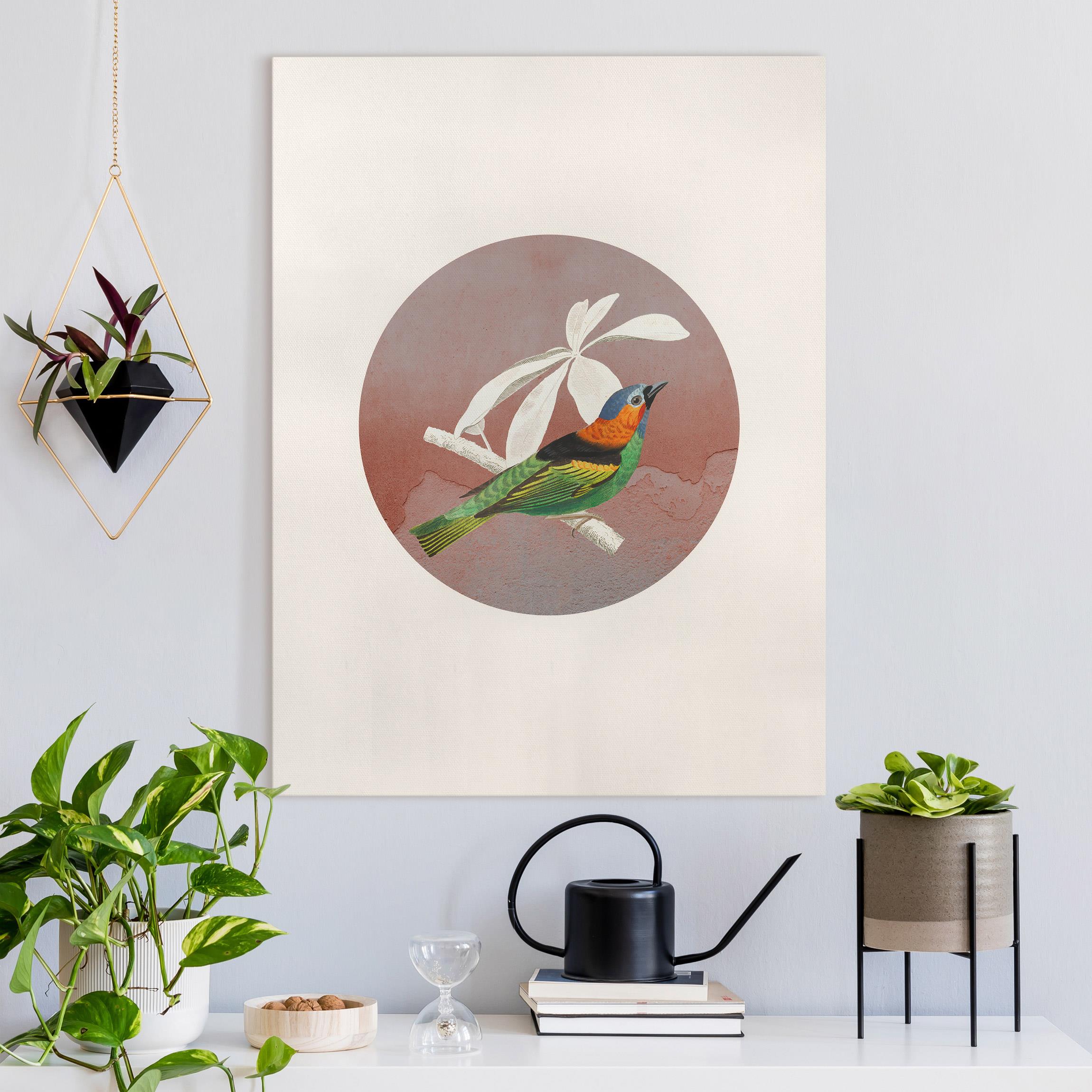 Leinwandbild Vogel Collage im Kreis II