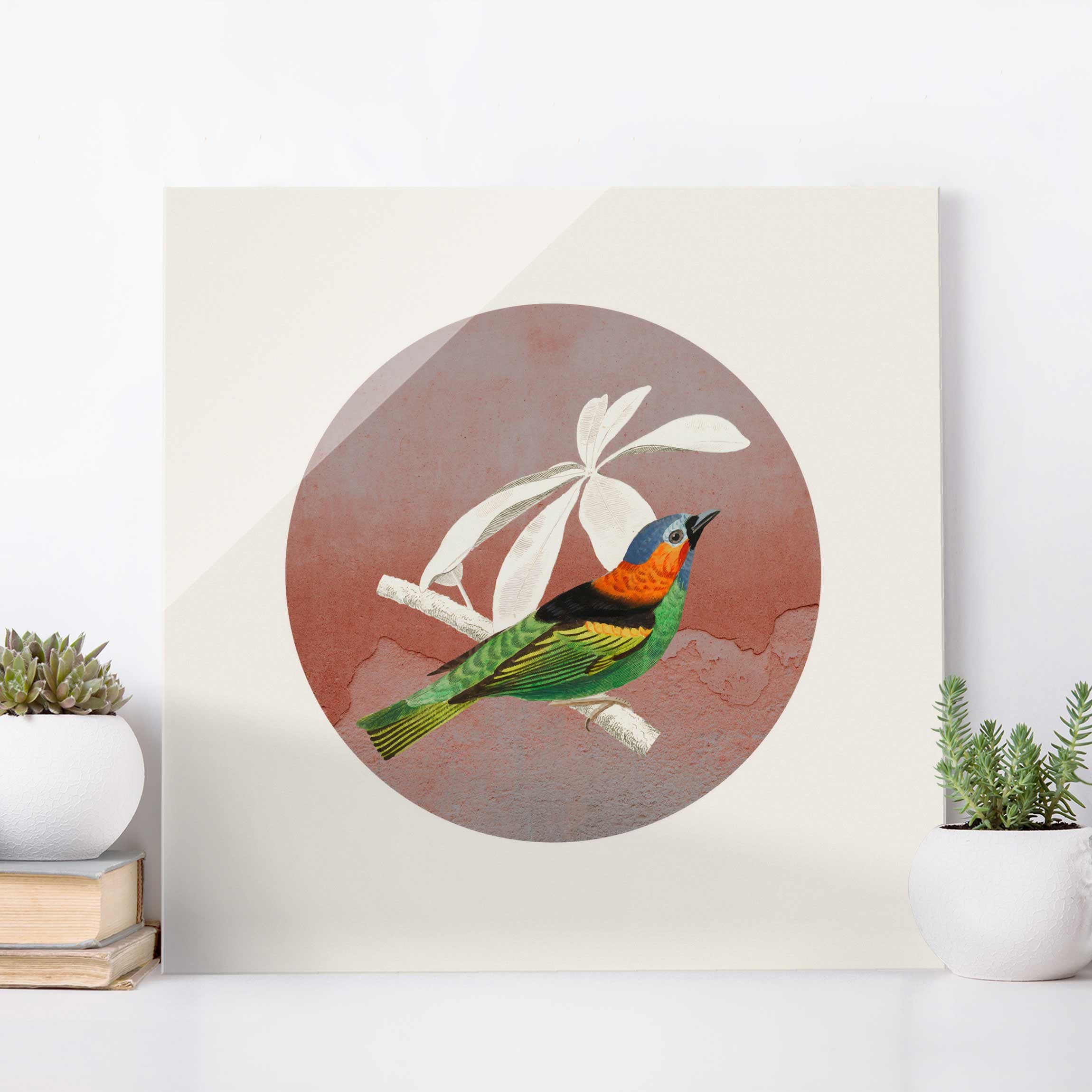 Glasbild Vogel Collage im Kreis II