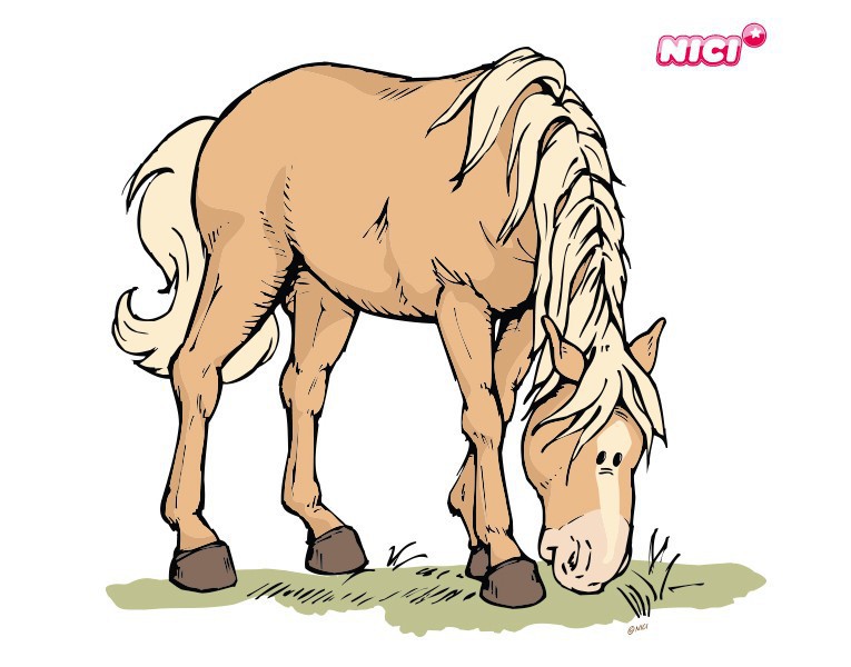 Wandtattoo NICI - Horse Club - braunes Pferd isst