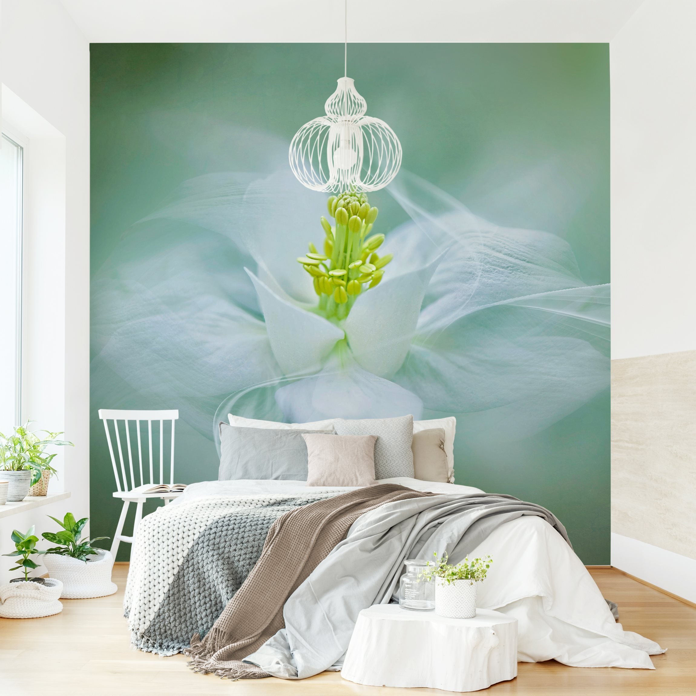 Fototapete Blumen Weiße Akelei